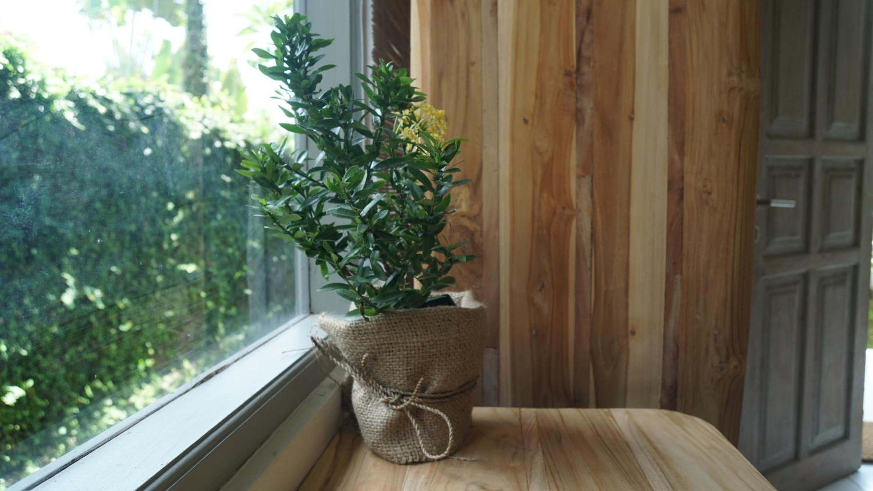 One-Bedroom Apartment - Photo 4