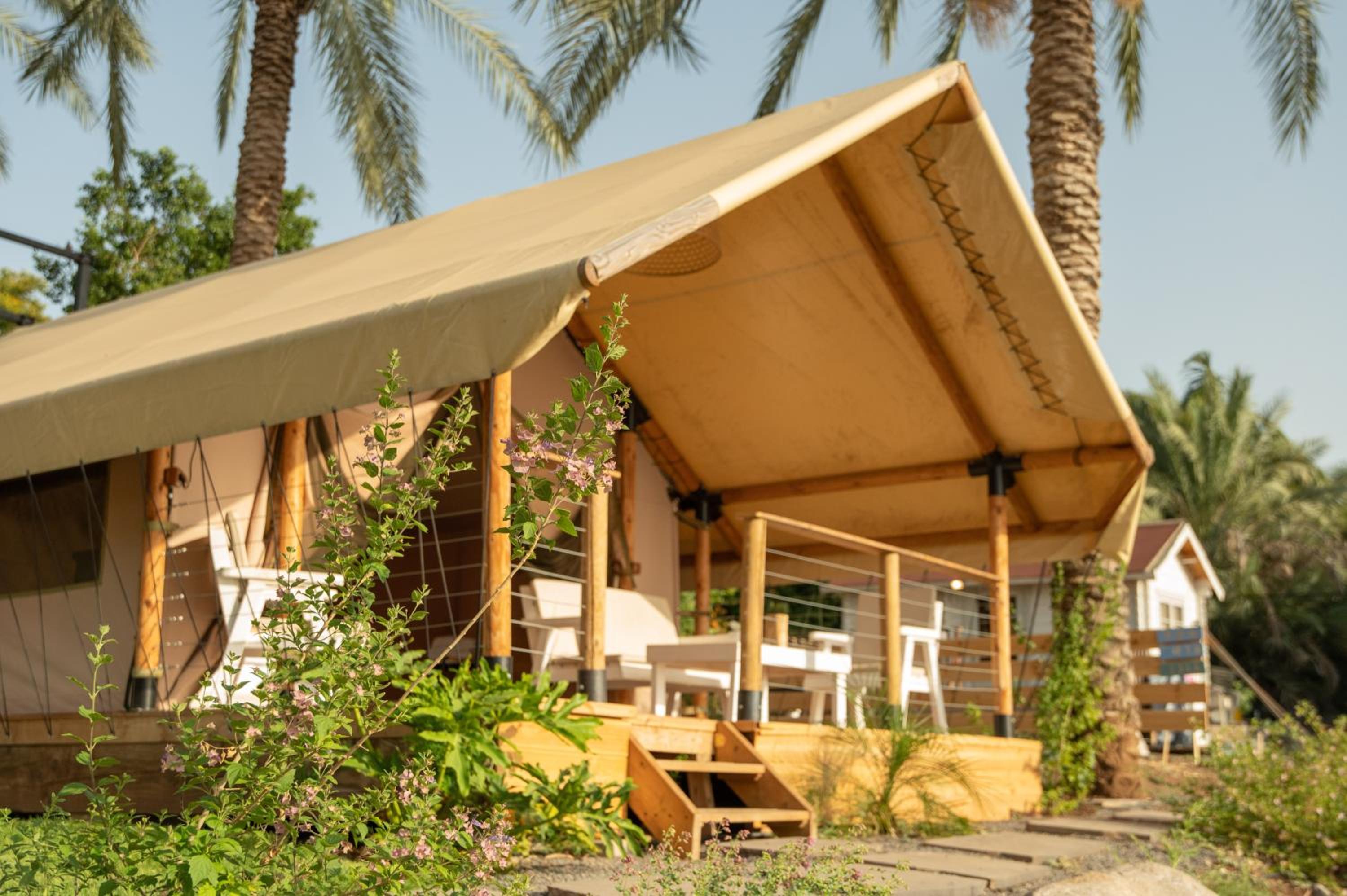 Tent M photo 2