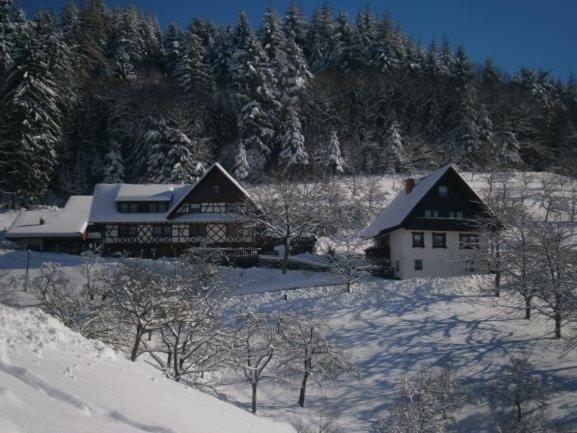 Vacation Home photo 2