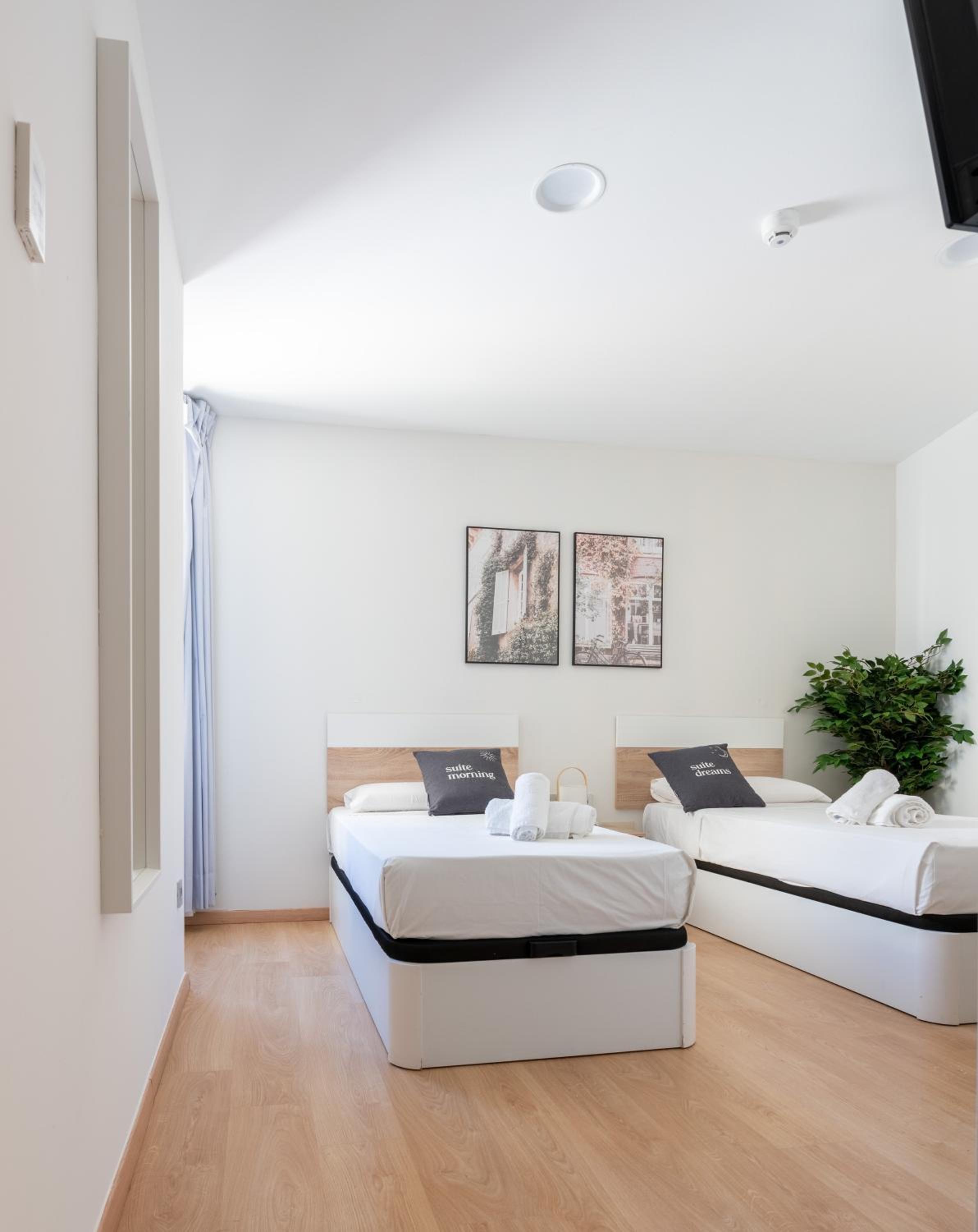 Twin Room photo 2