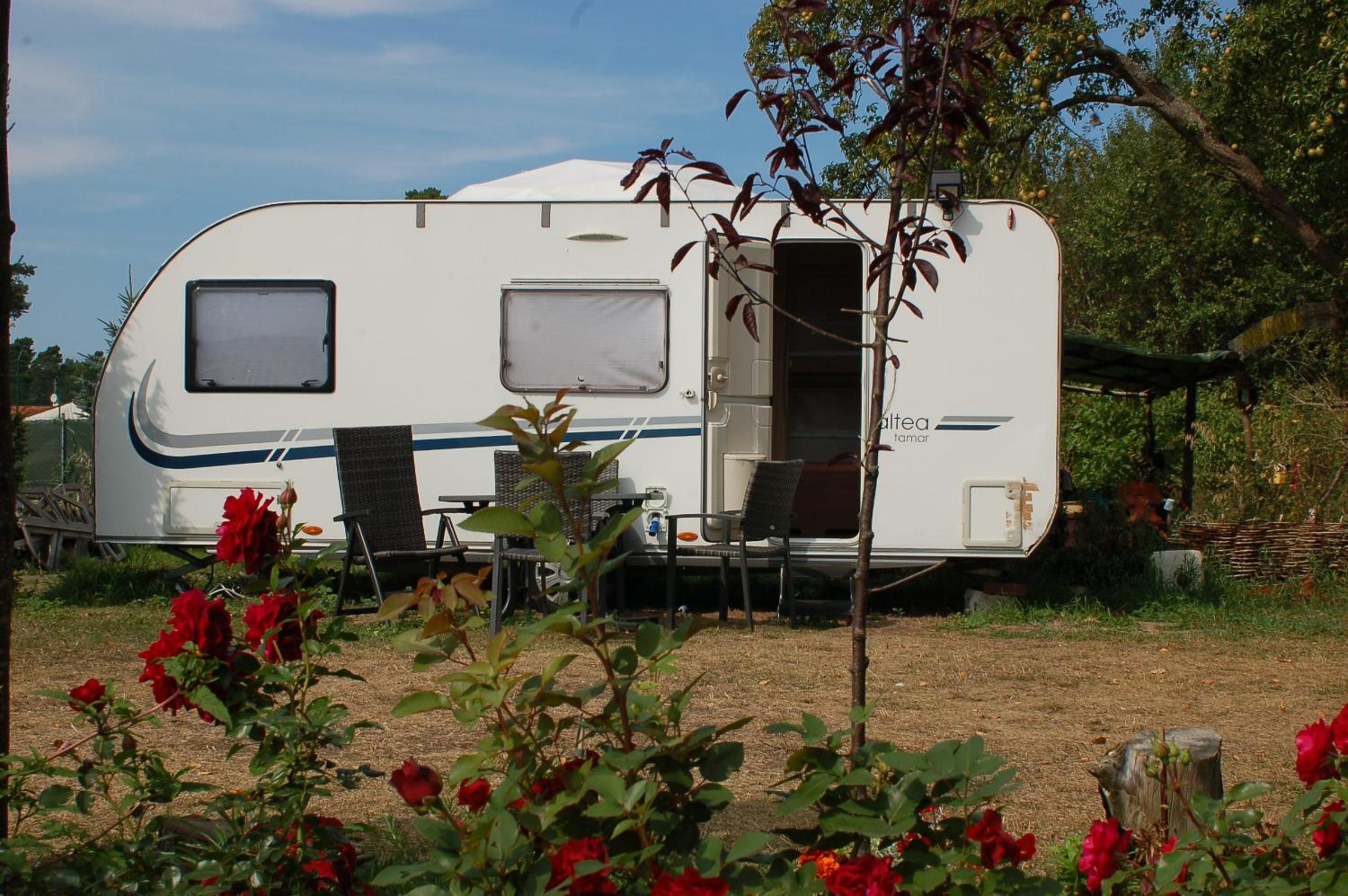 Chalet photo 1