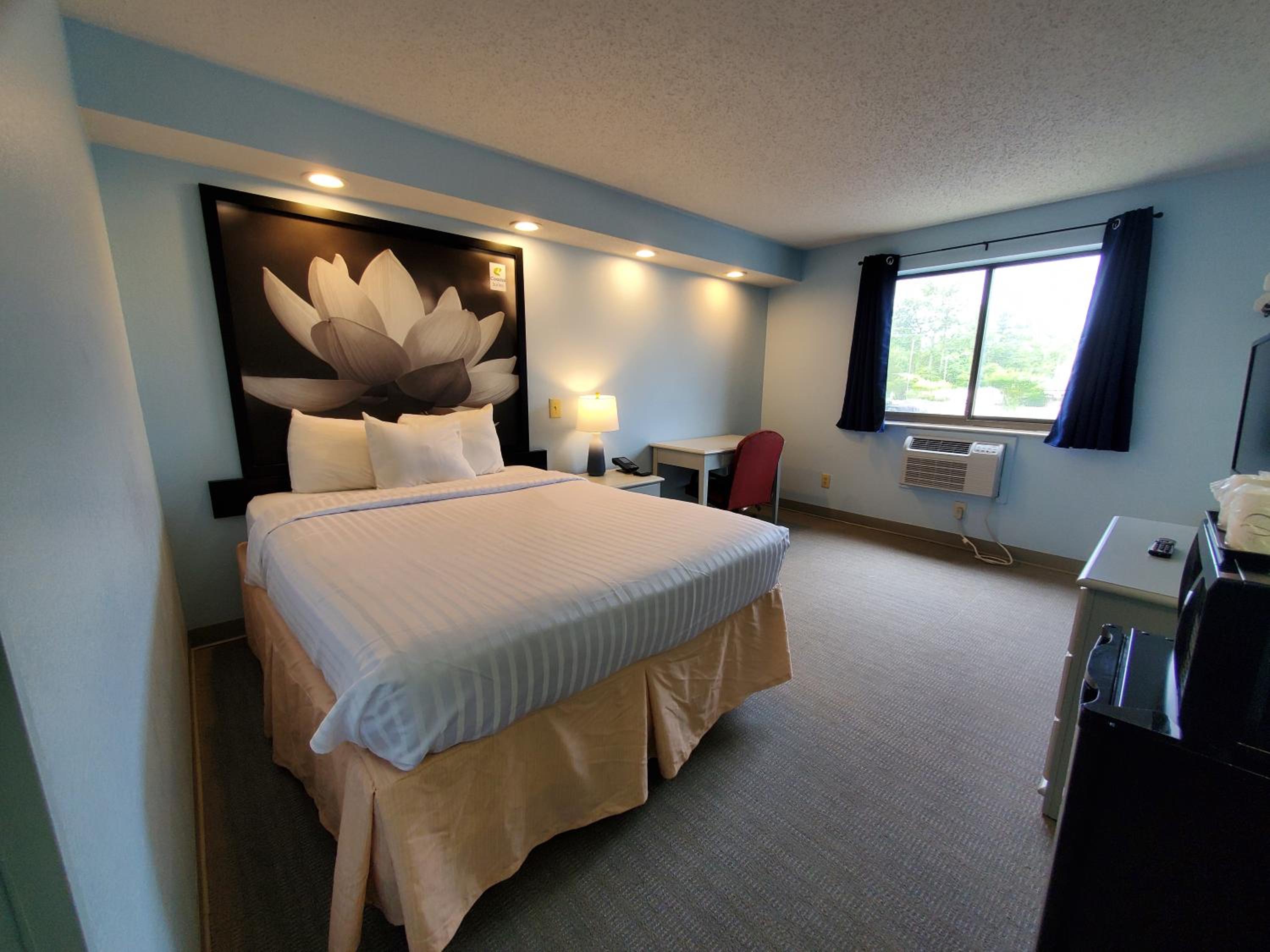 Queen Room - Non-Smoking - Photo 1