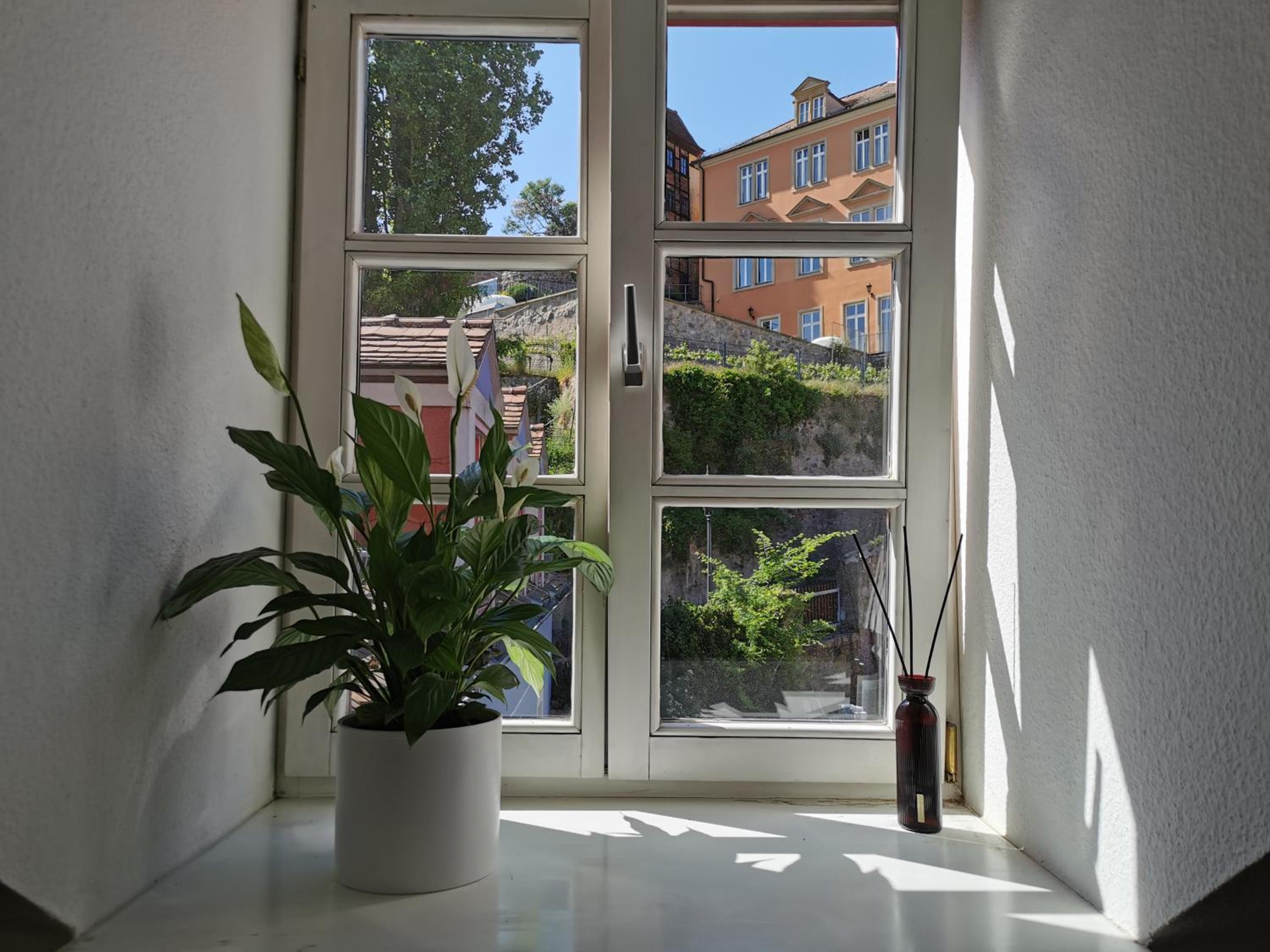 Studio with Garden View photo 2