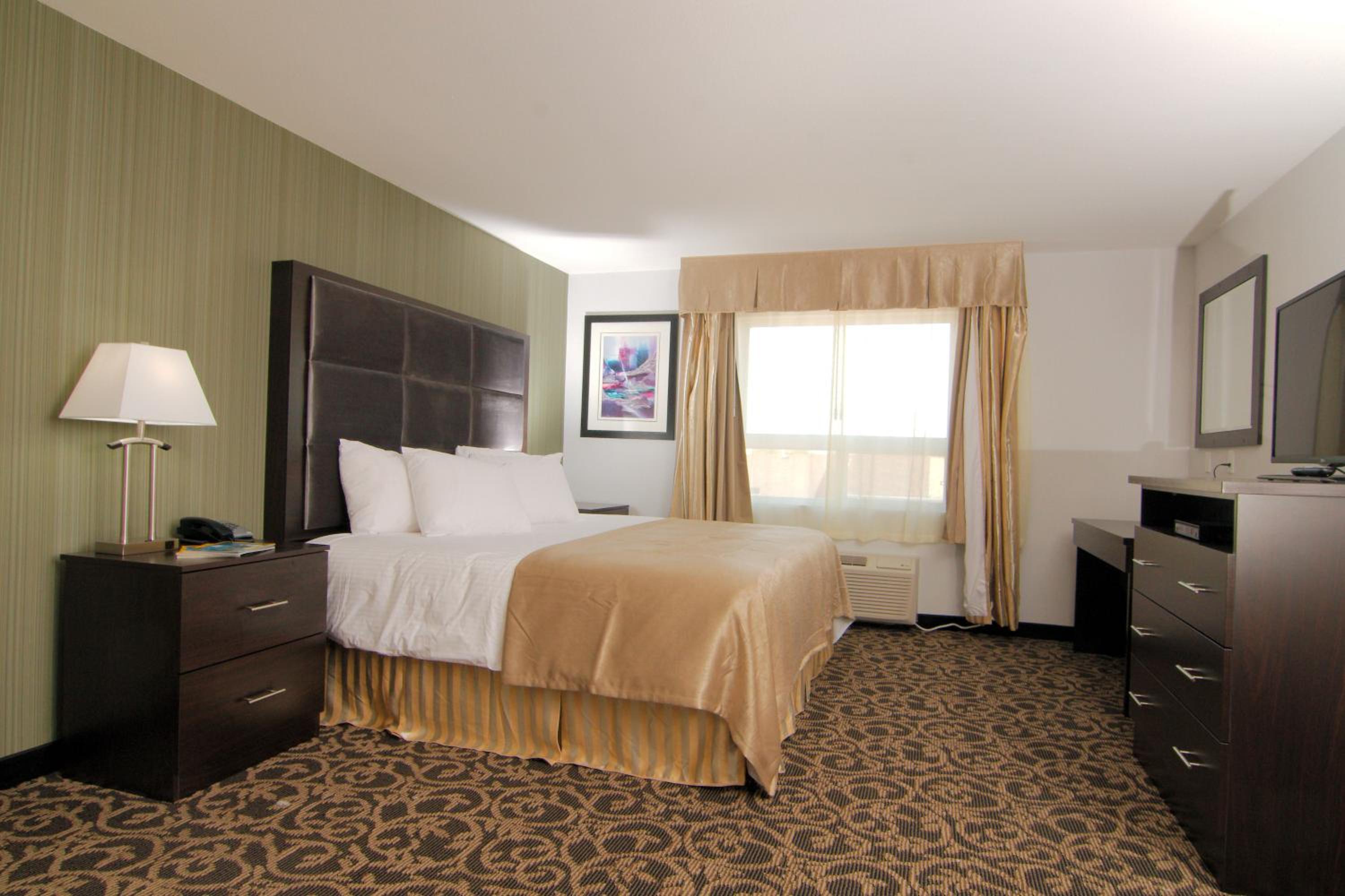Kitchenette Suite - 1 King Bed photo 1