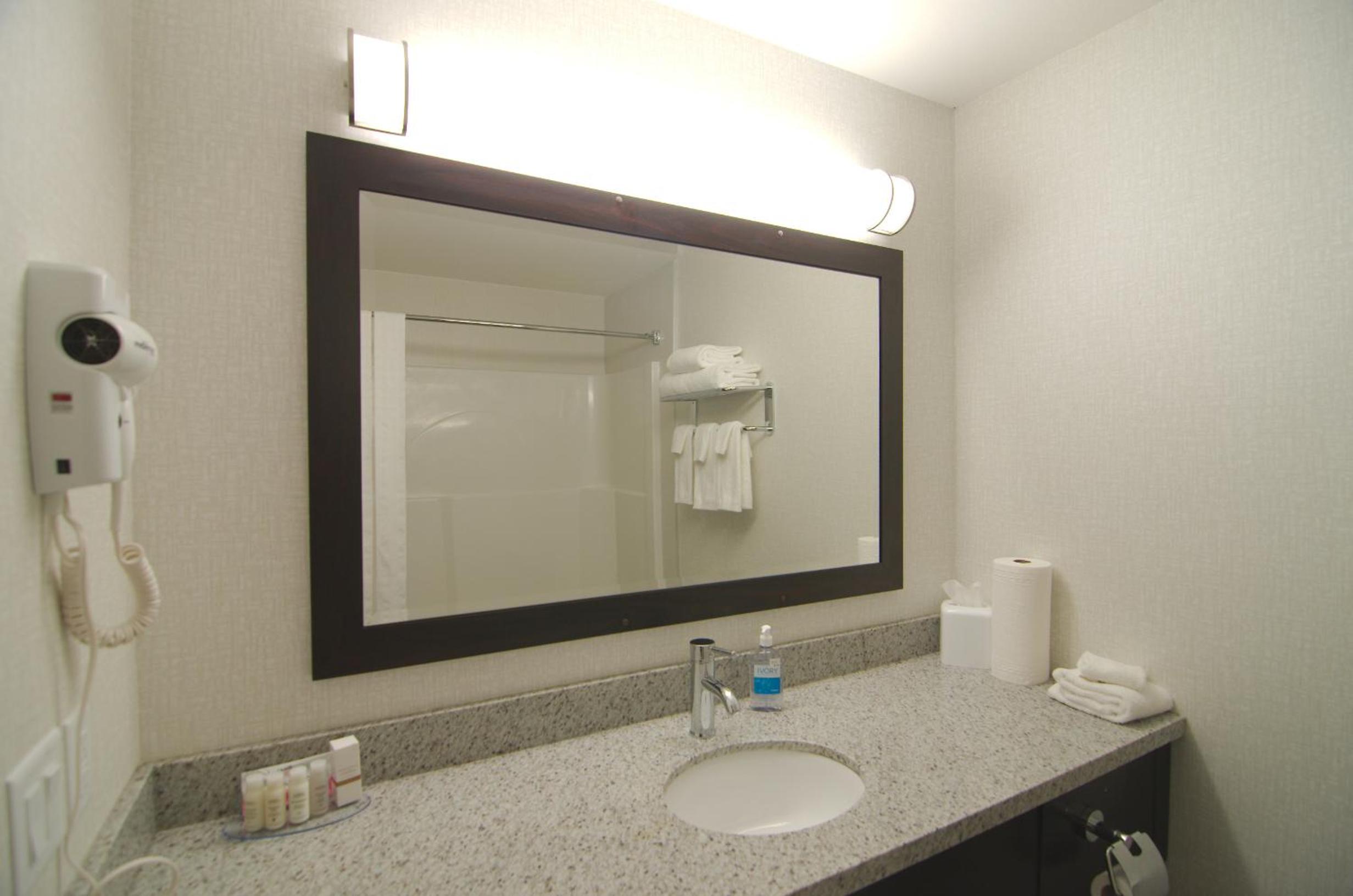 Kitchenette Suite - 1 King Bed photo 3