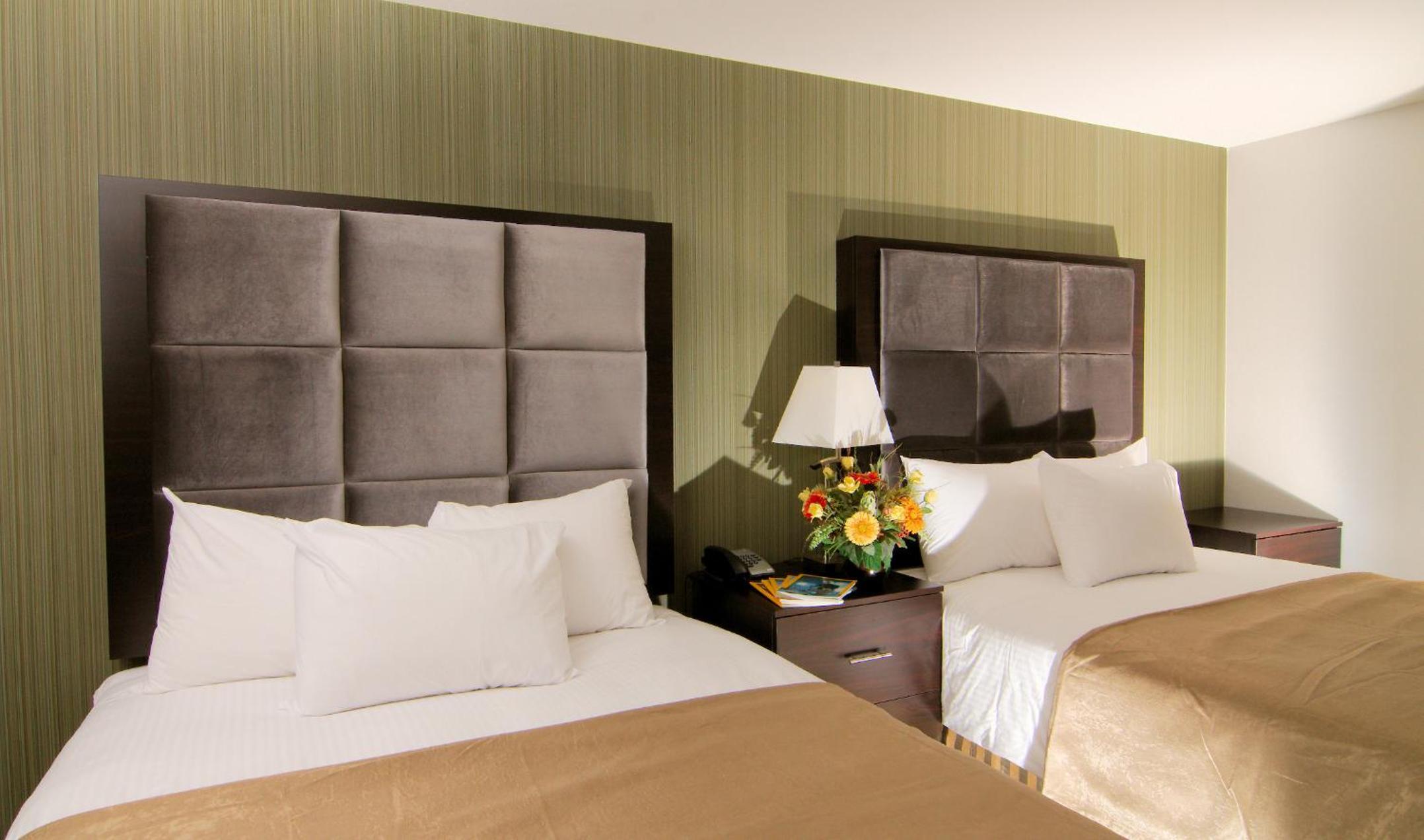 Kitchenette Suite- 2 queen beds photo 3