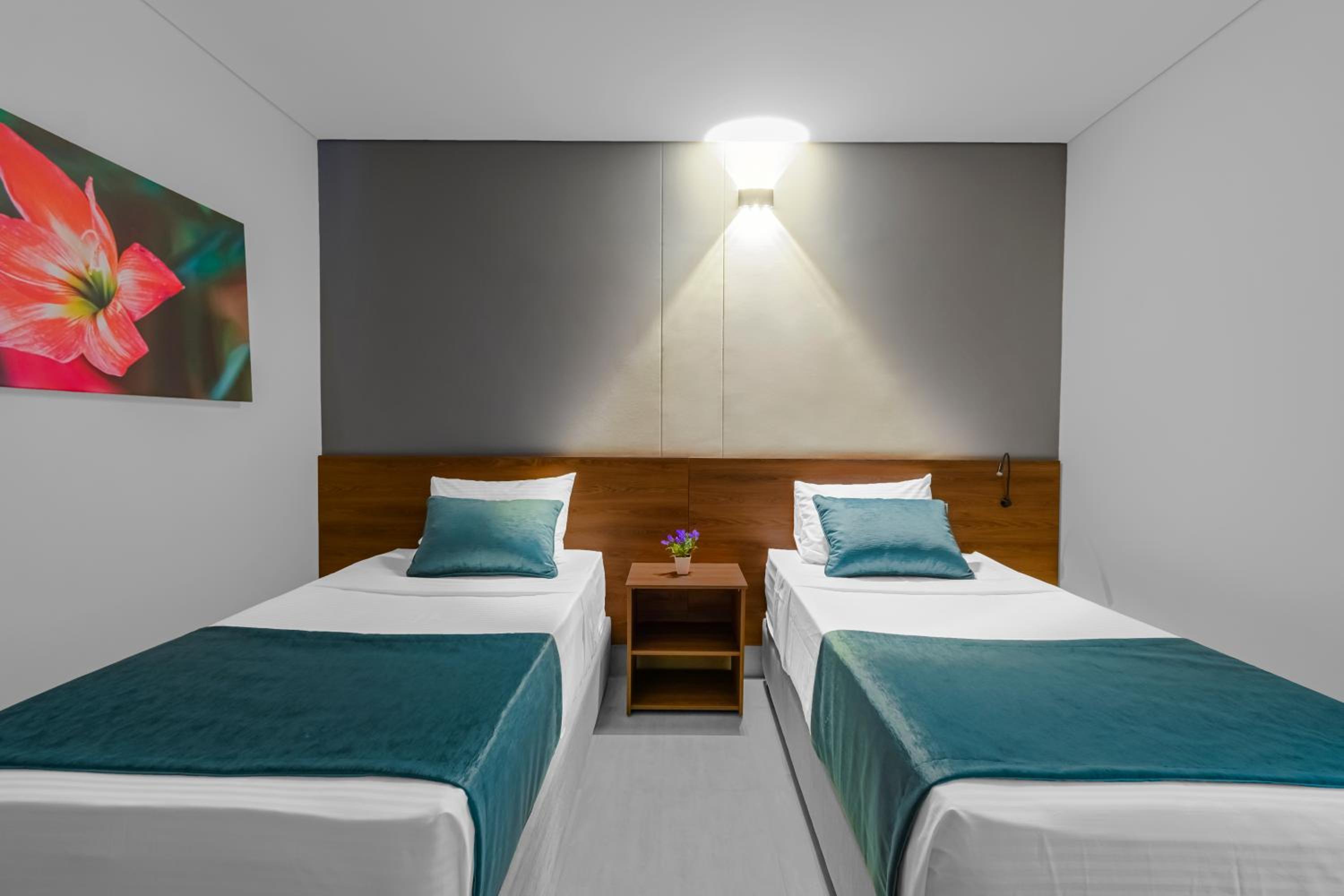 Standard Twin Room photo 1