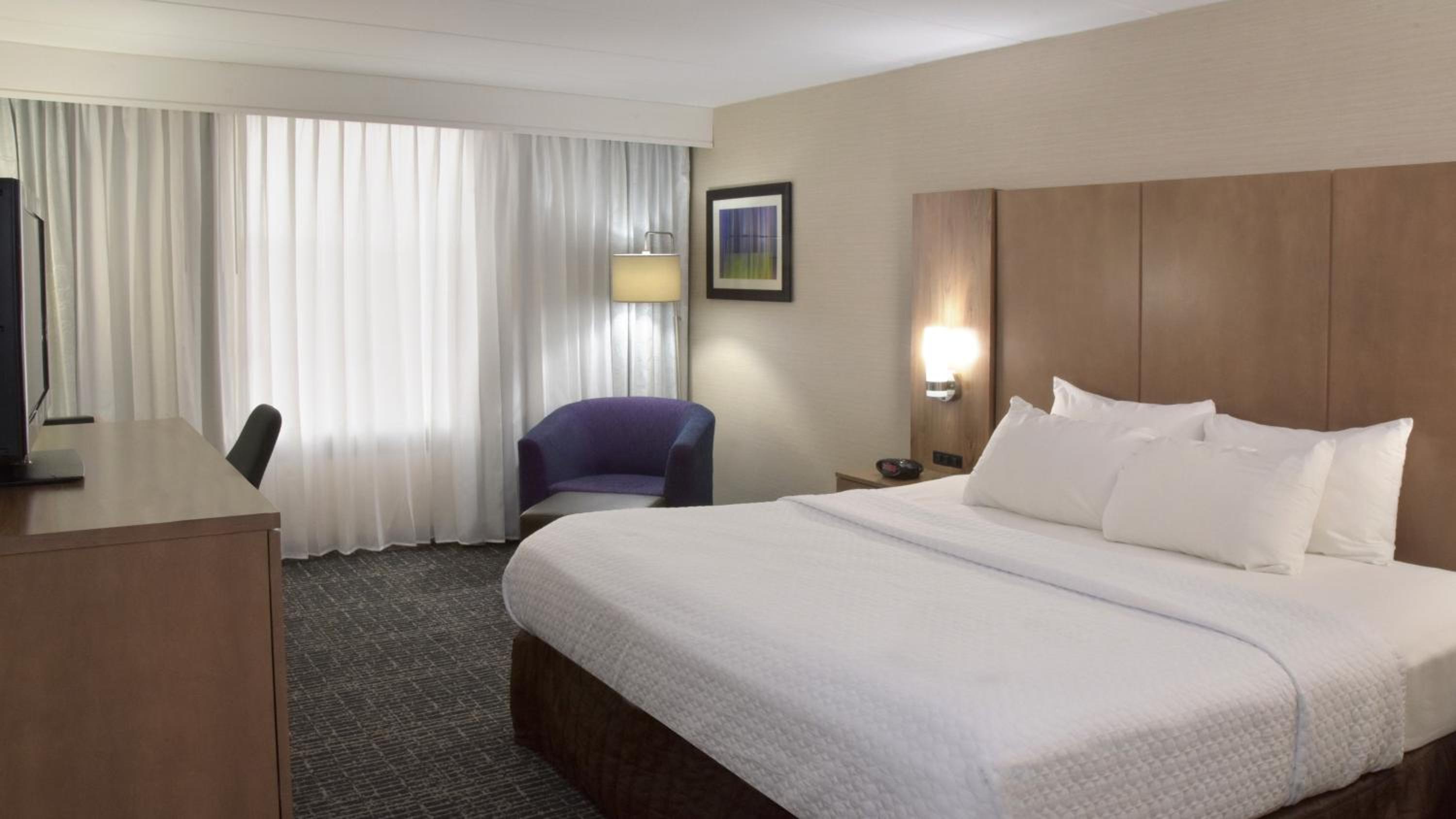 Junior King Suite photo 2