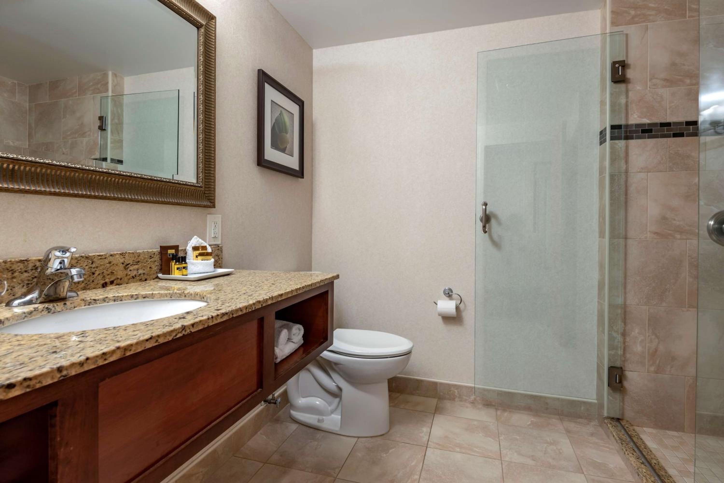 King Room with Lake View - Non-Smoking photo 2
