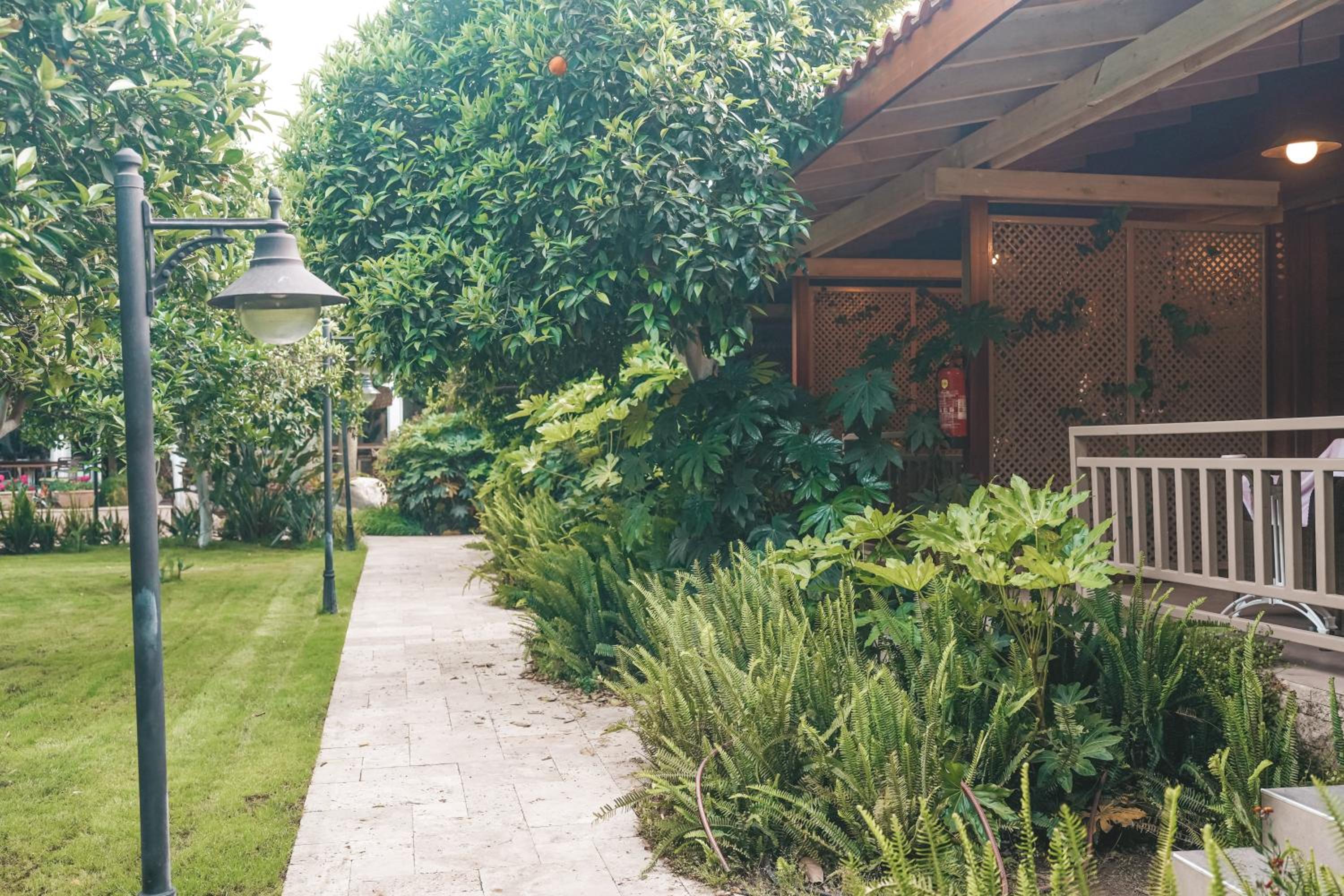 Kumquat Room - Photo 8