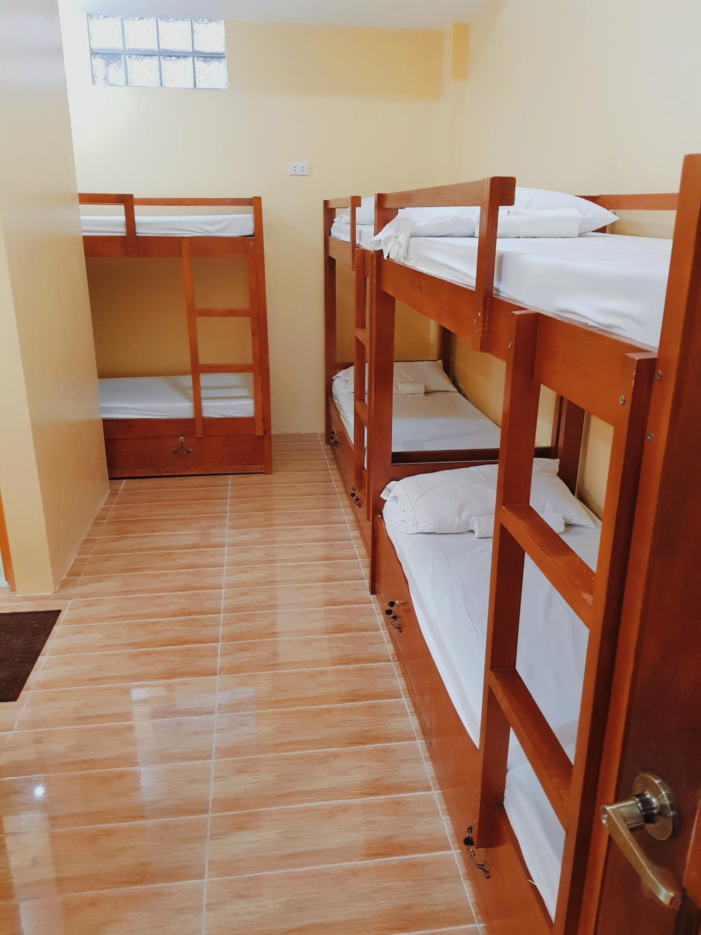 Bunk Bed in Mixed Dormitory Room photo 3