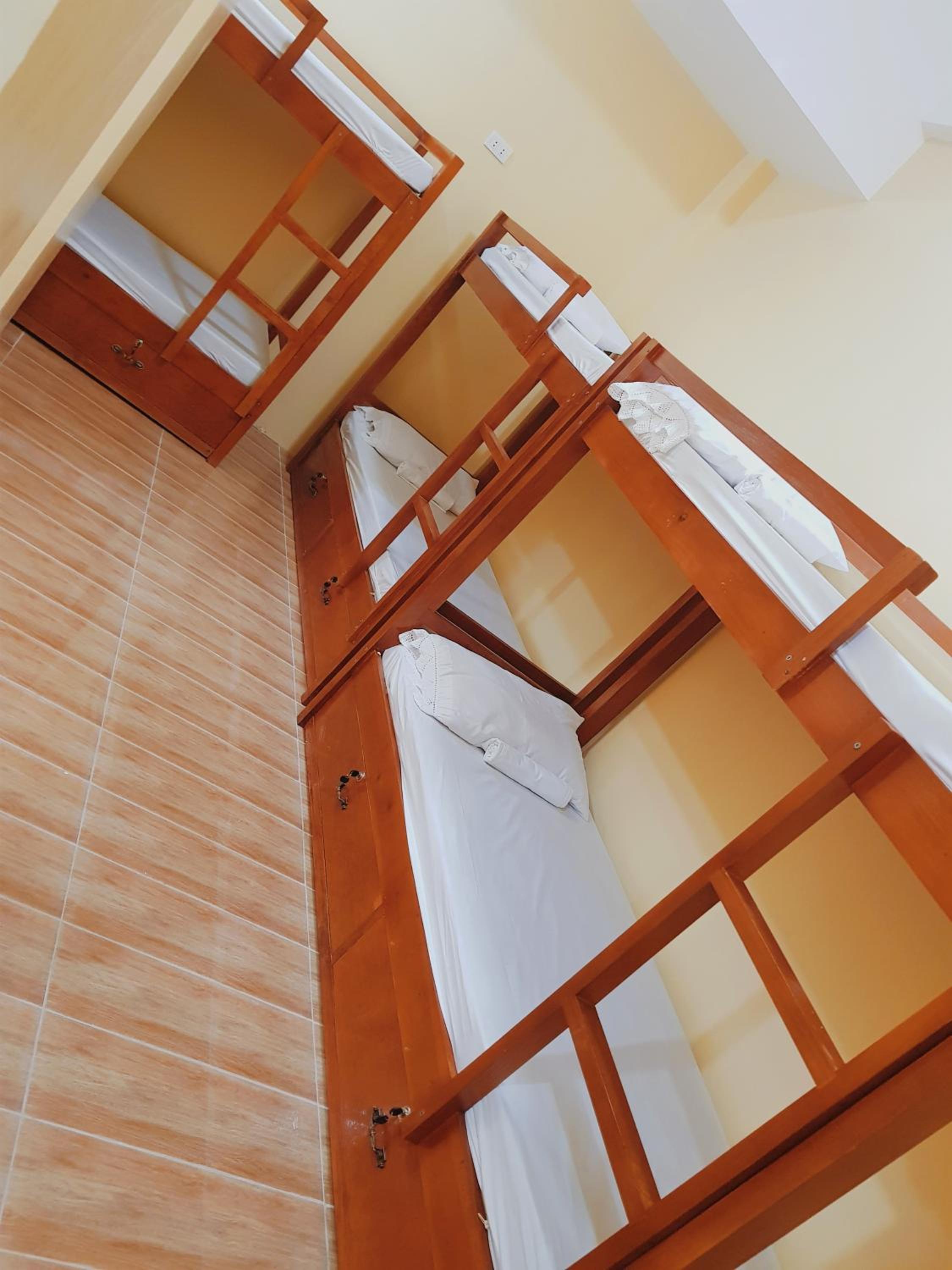 Bunk Bed in Mixed Dormitory Room photo 1