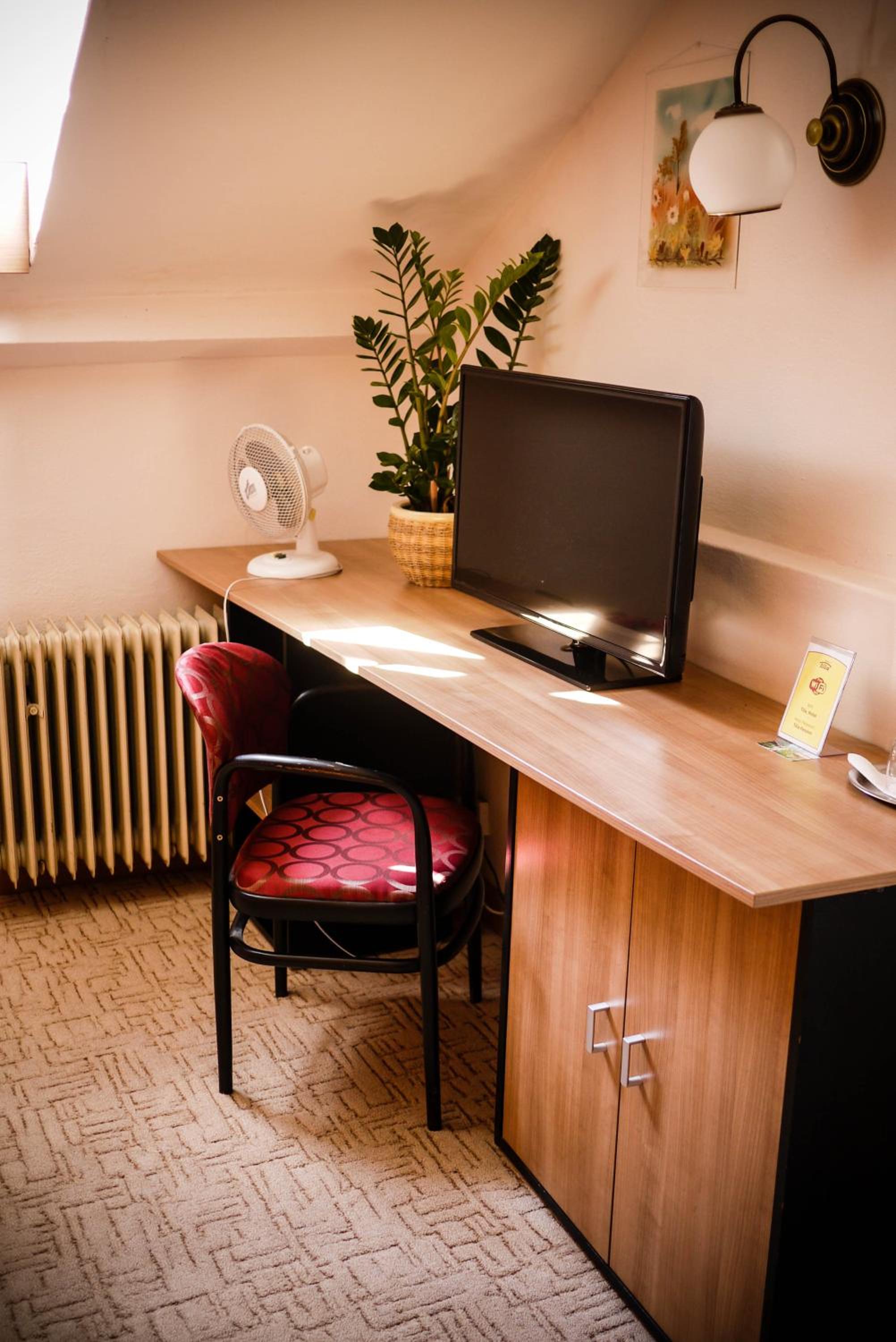Single Room photo 1