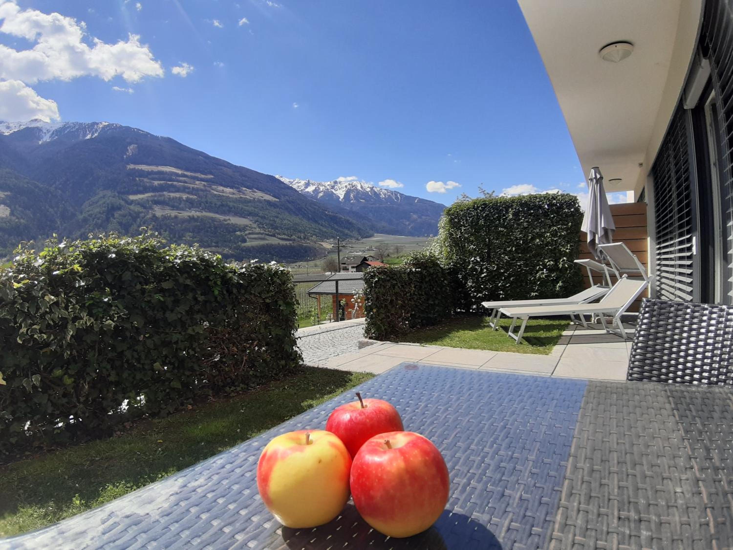 Apartment with Terrace - Photo 14