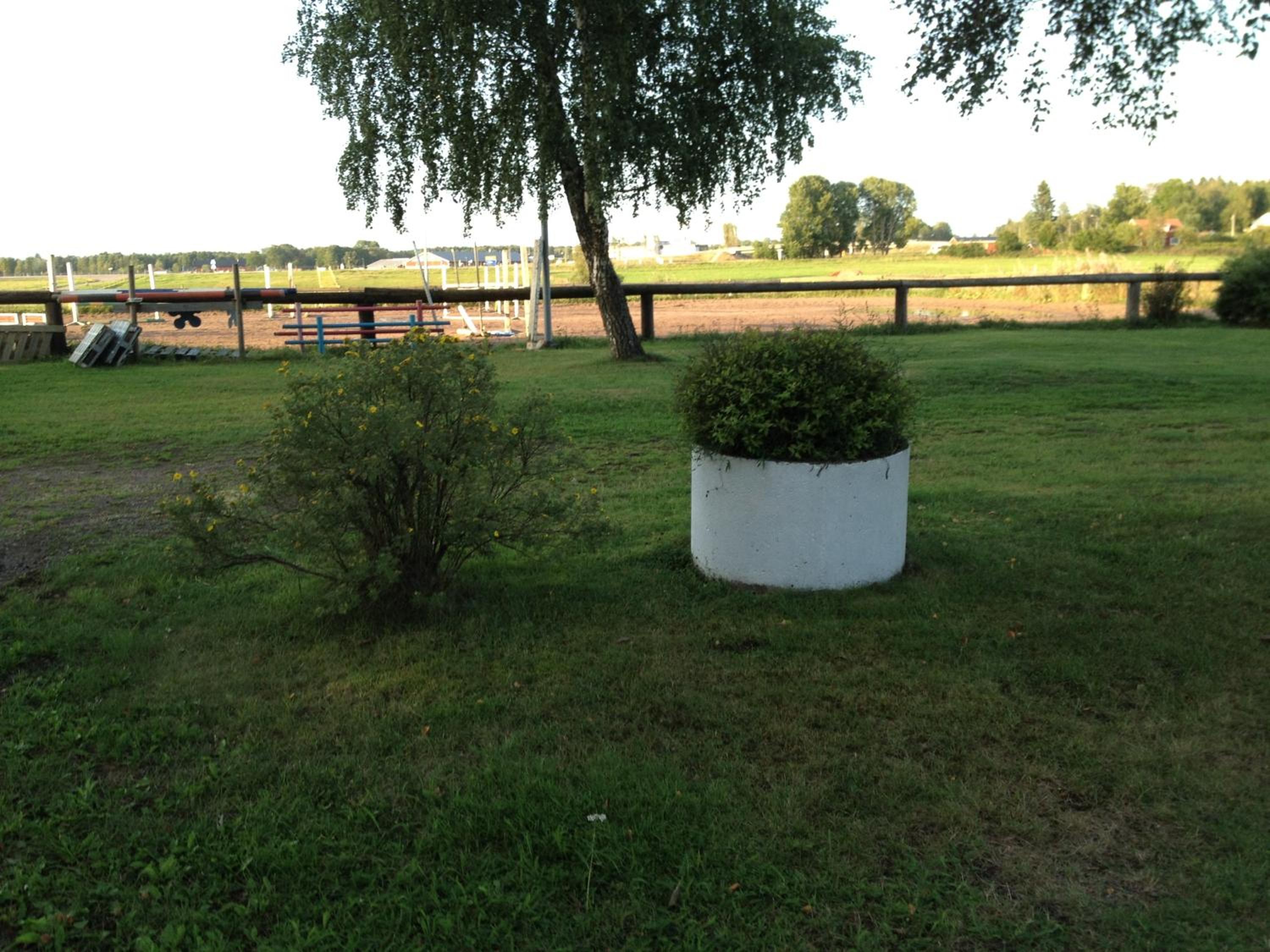 Cottage (4 Adults) - Photo 3
