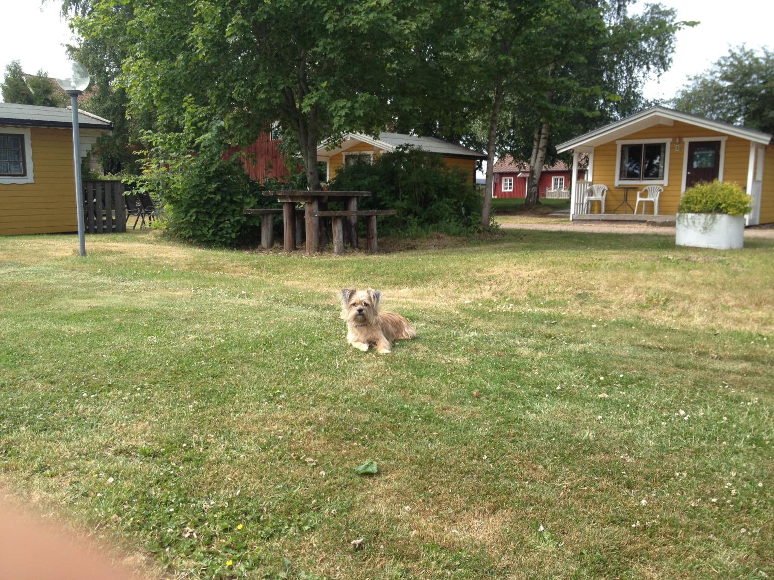 Cottage (4 Adults) - Photo 2