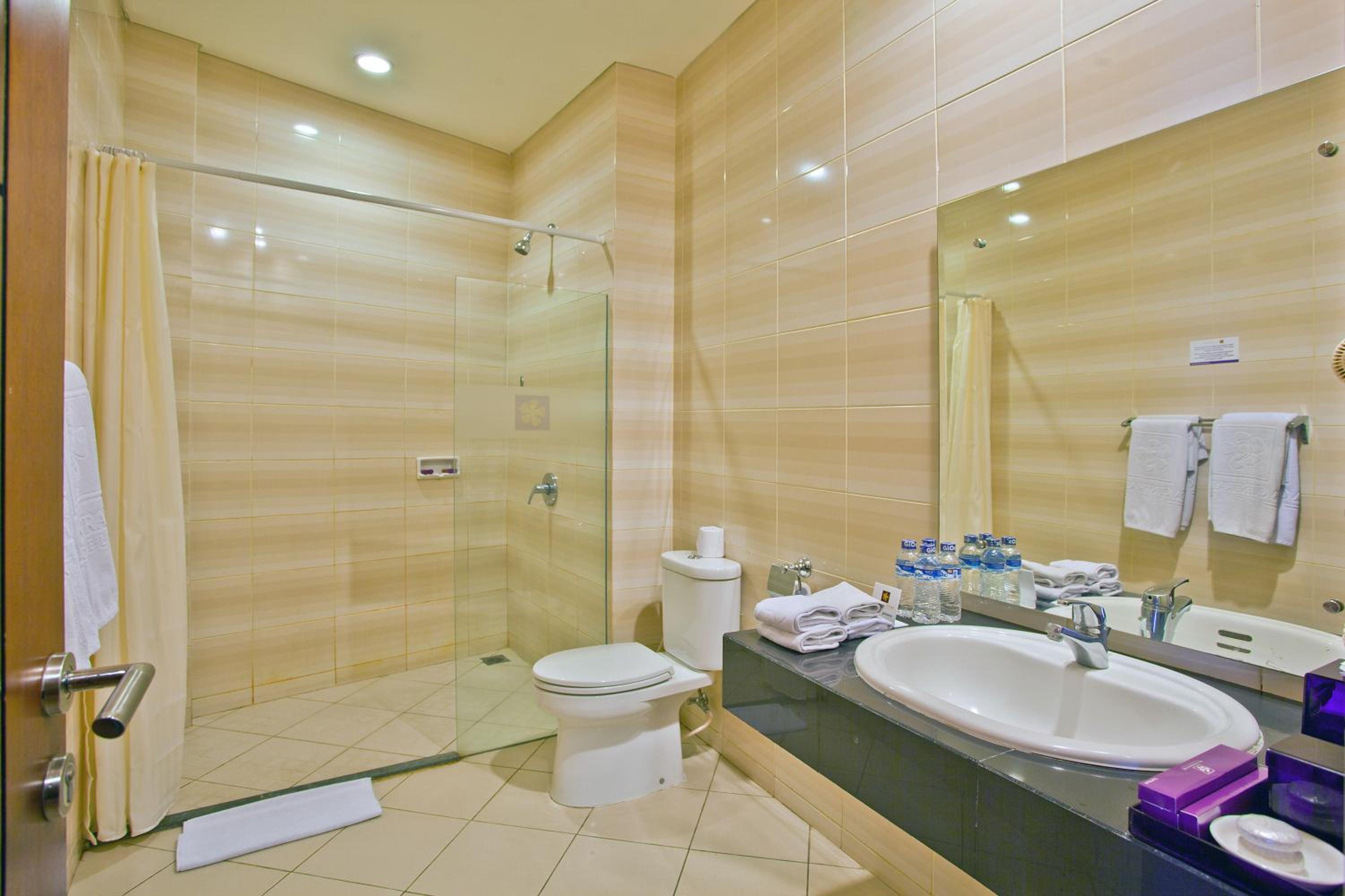 Family Room with Shower (5 People) and No Window - Photo 3