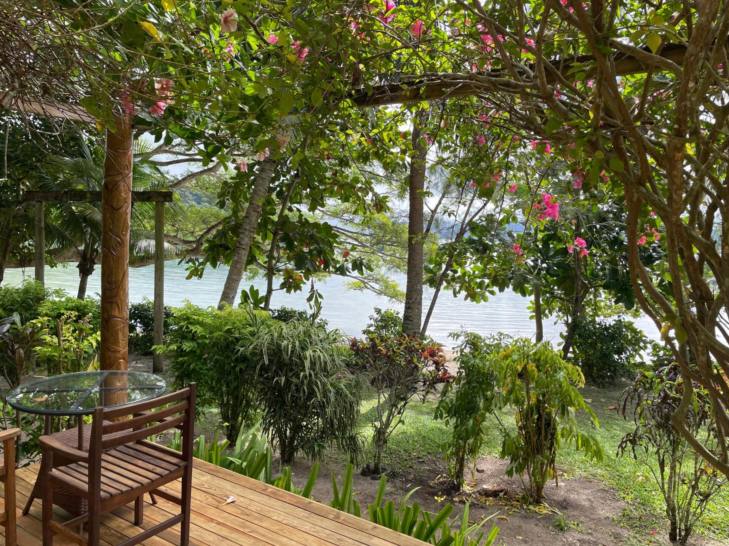 Studio With Ocean View photo 1