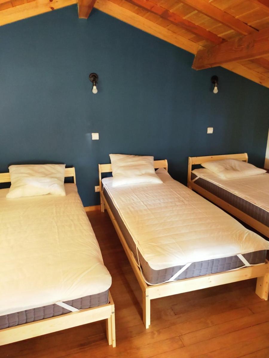 Single Bed in Mixed Dormitory Room photo 1