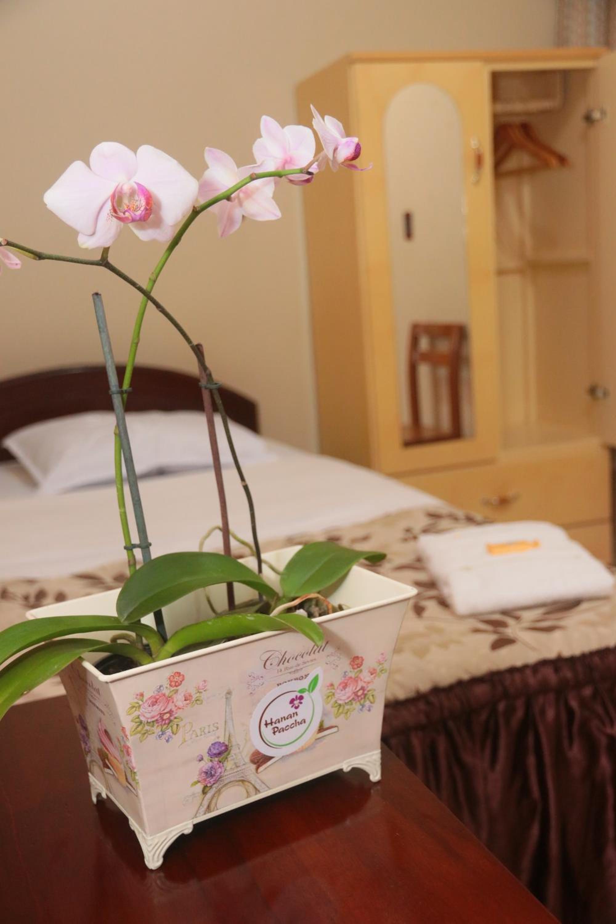 Single Room photo 1