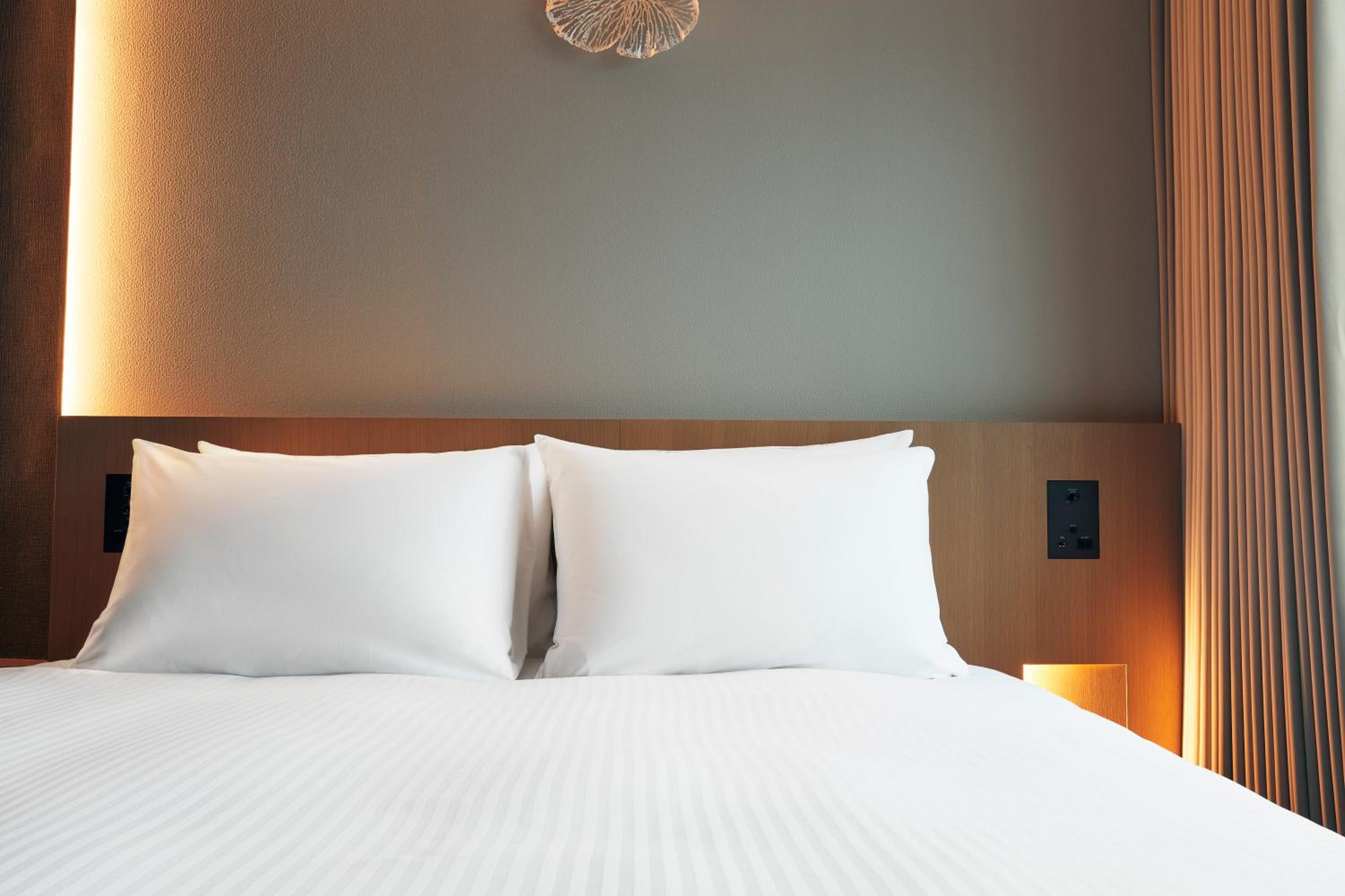 Modelate Queen Room - No Room Cleaning Service