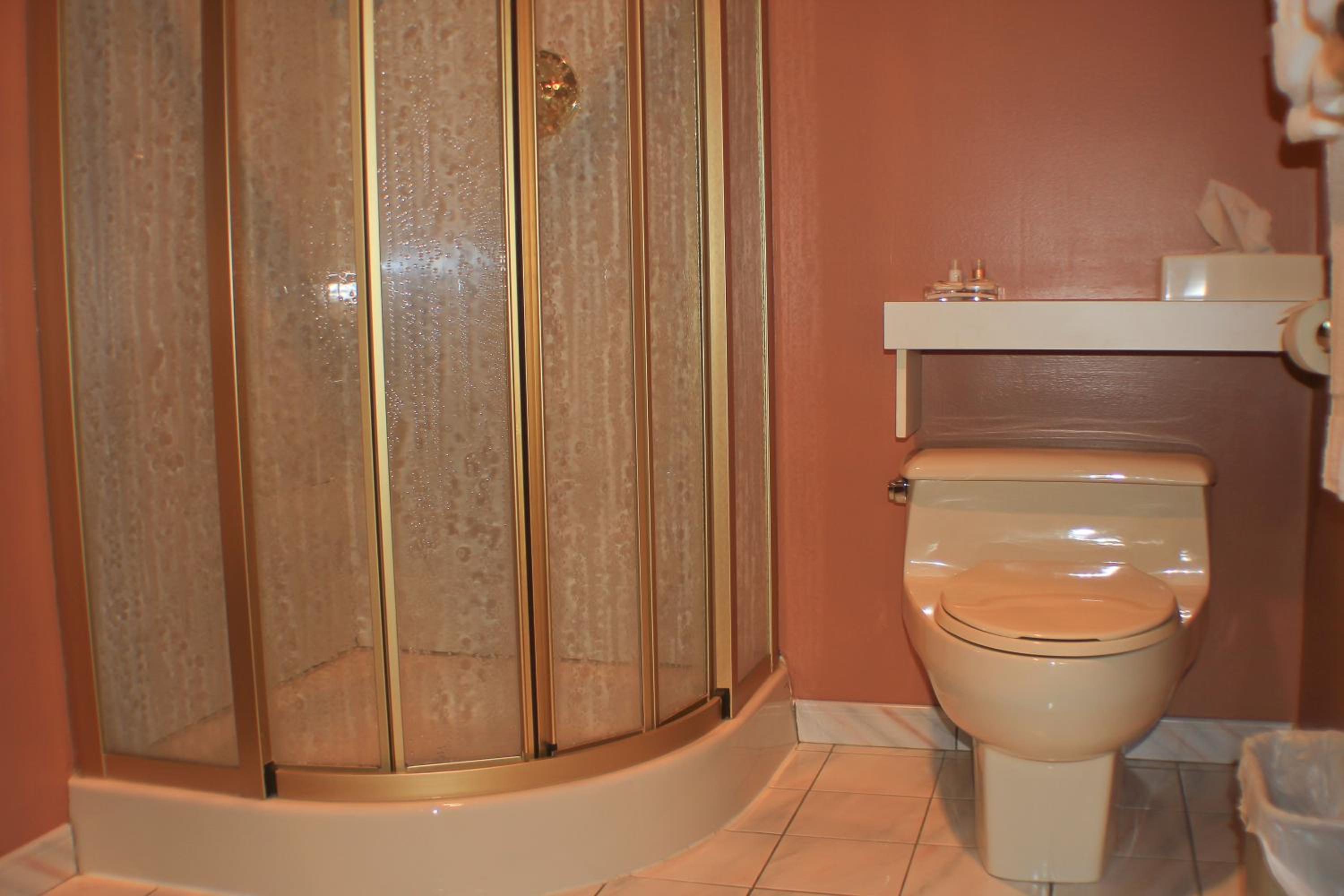 King Studio Suite - Non-Smoking - Photo 10
