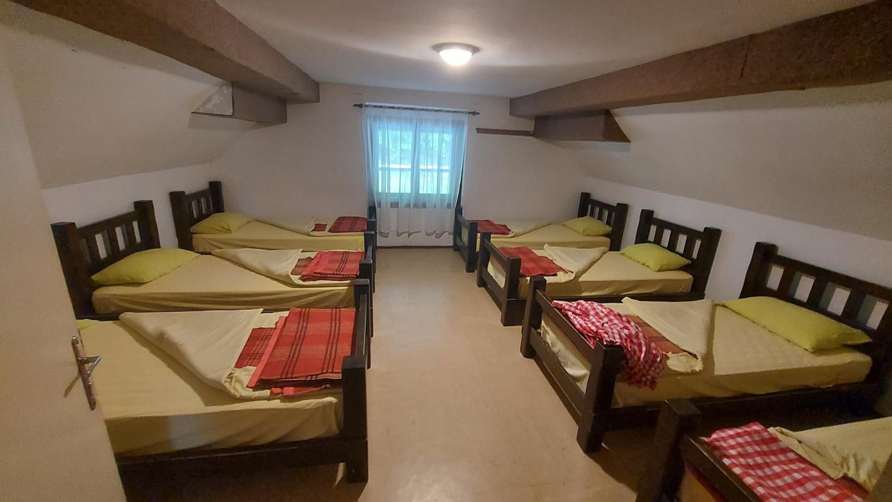 Single Bed in Mixed Dormitory Room photo 1