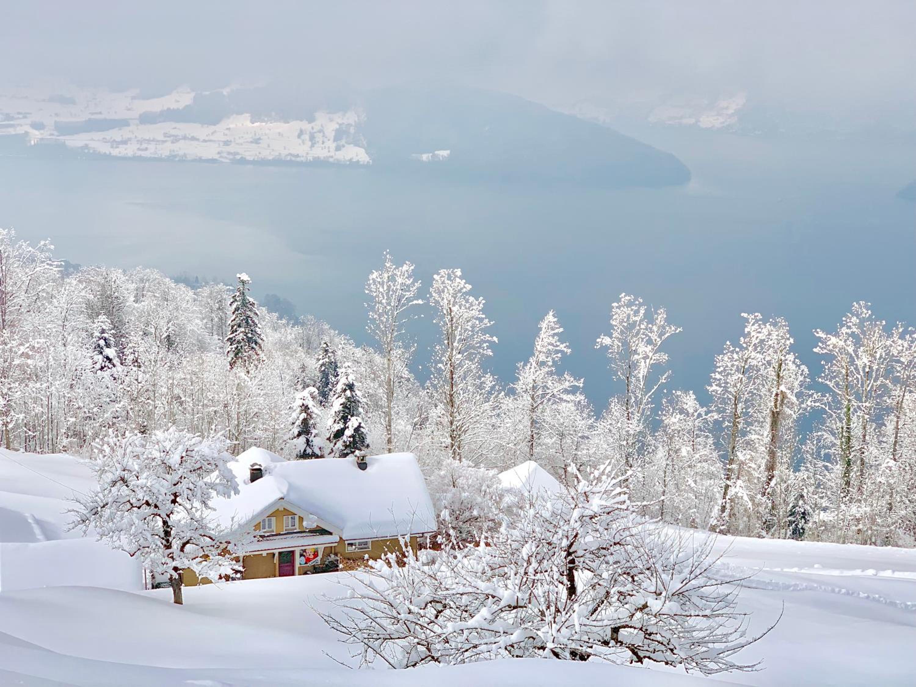 Apartment With Lake View photo 3