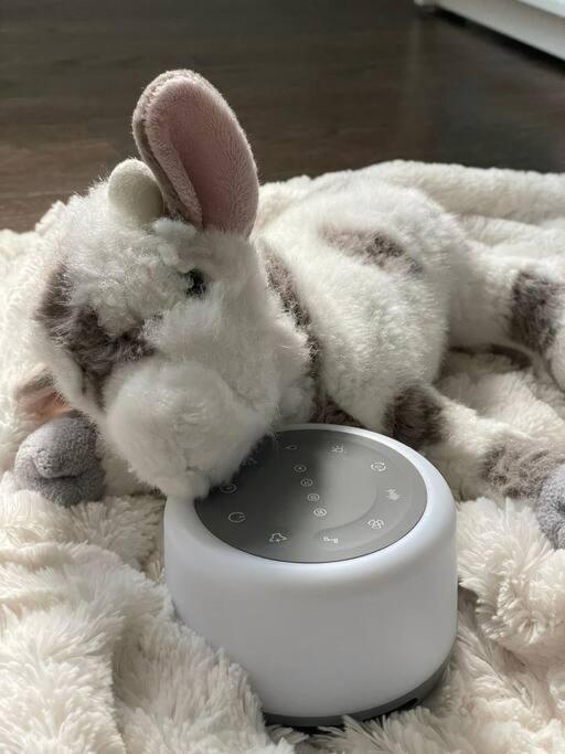 Two-Bedroom House - Photo 22