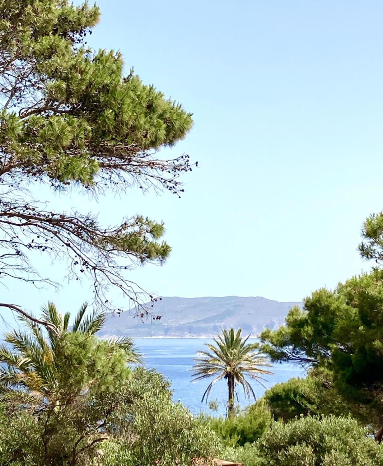 Studio with Sea View photo 2