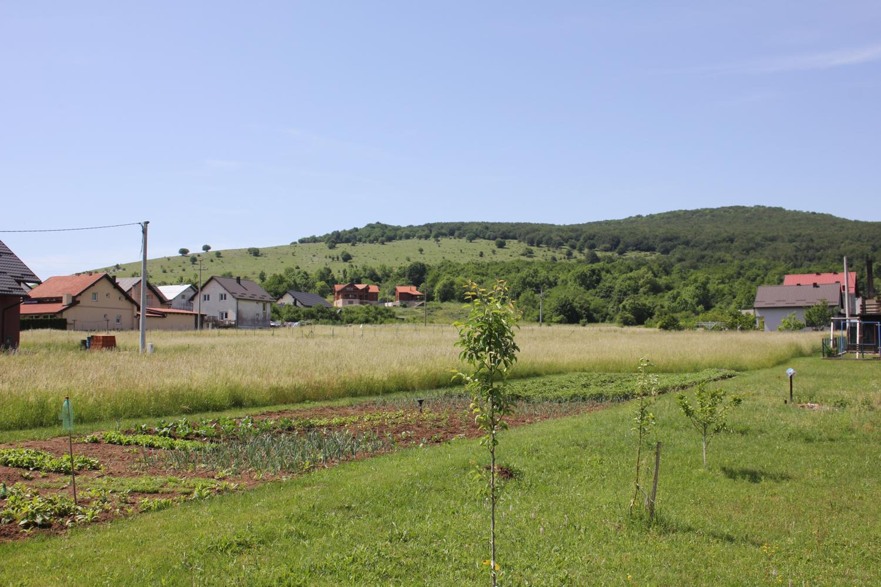 Studio With Terrace photo 2