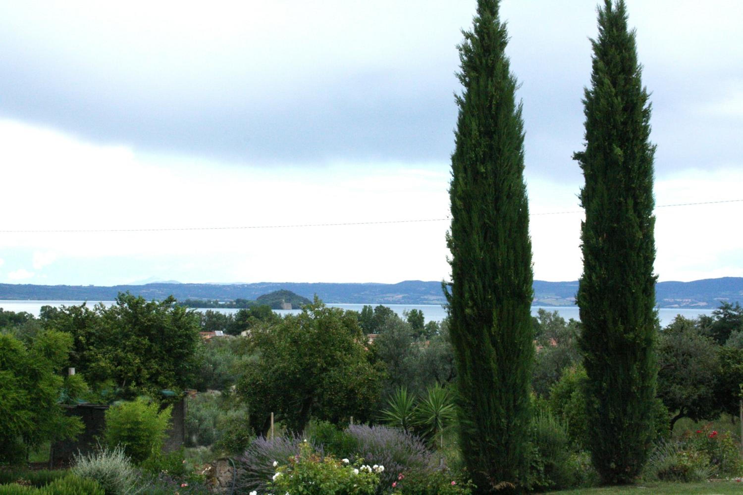 Family Room with Lake View photo 3