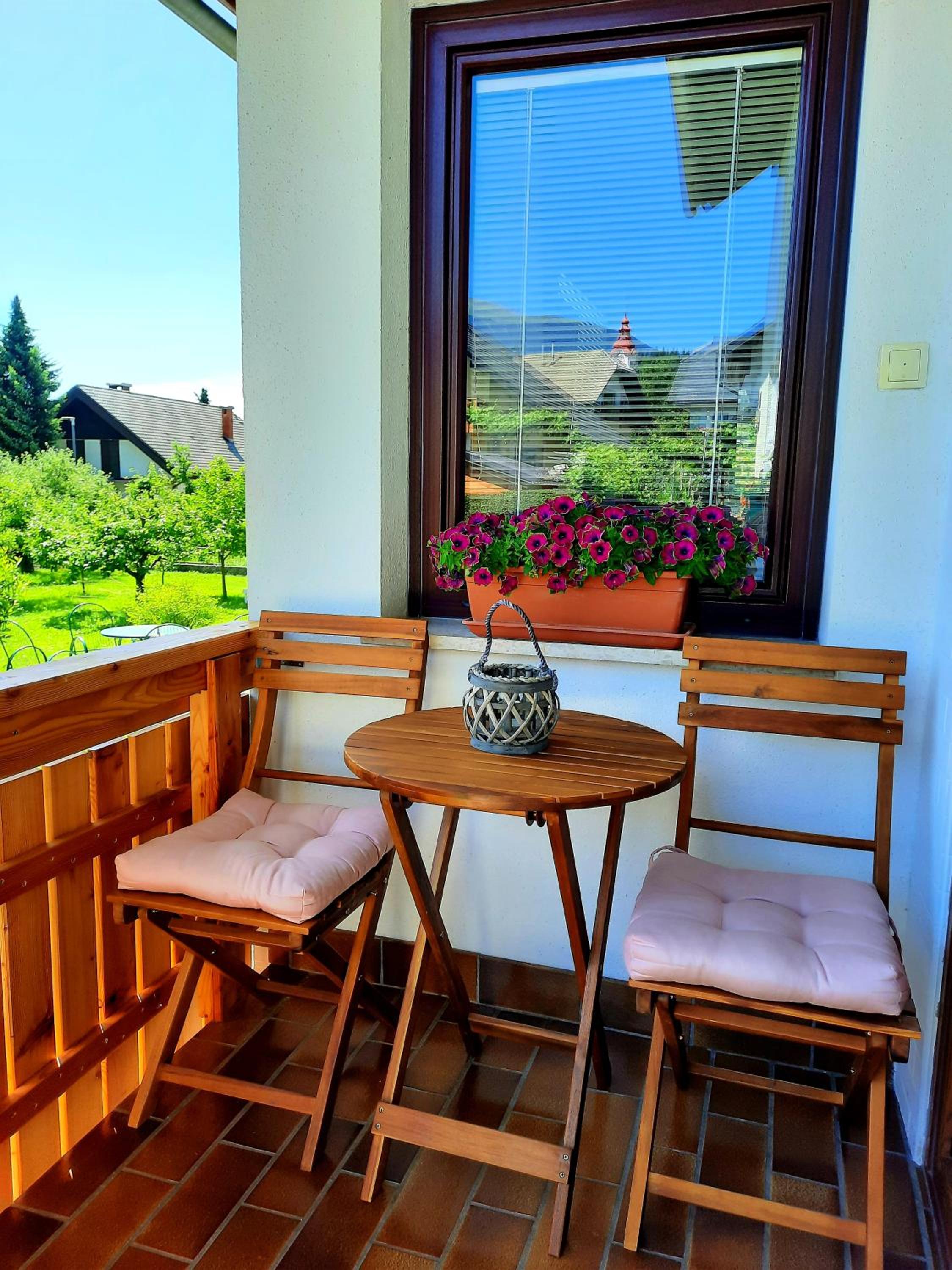 Apartment with Mountain View photo 2
