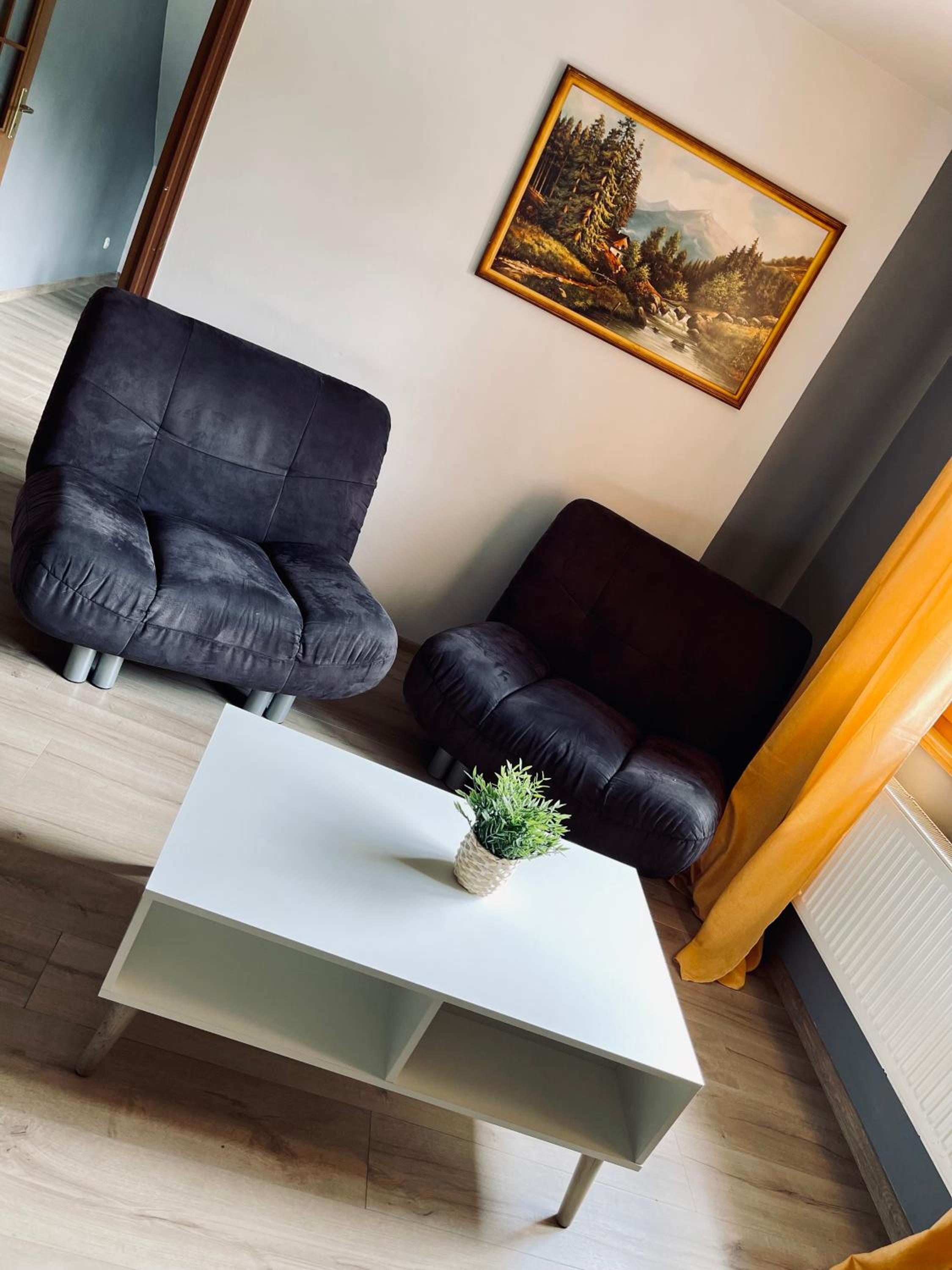 One-Bedroom Apartment - Photo 4