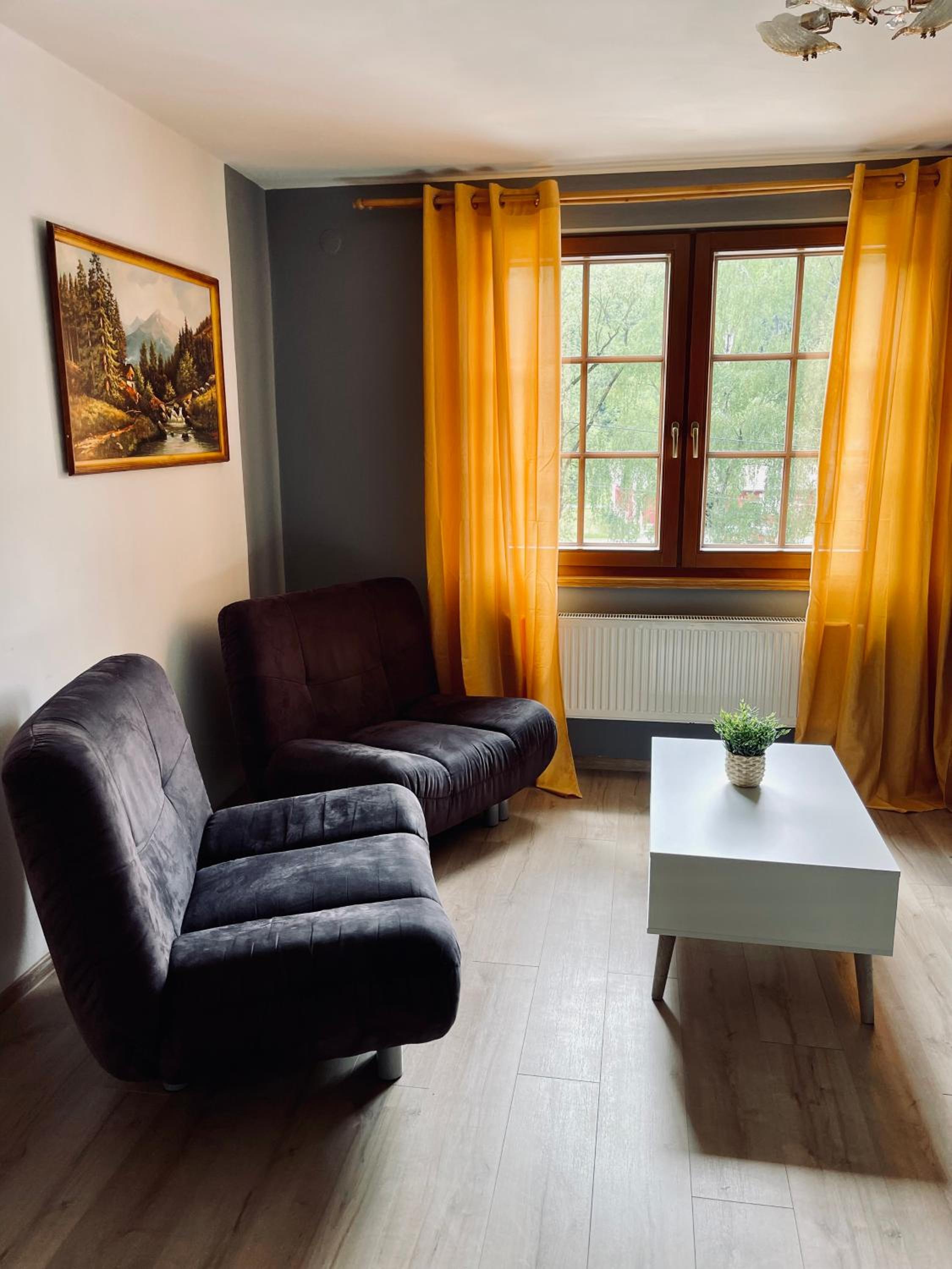 One-Bedroom Apartment - Photo 2