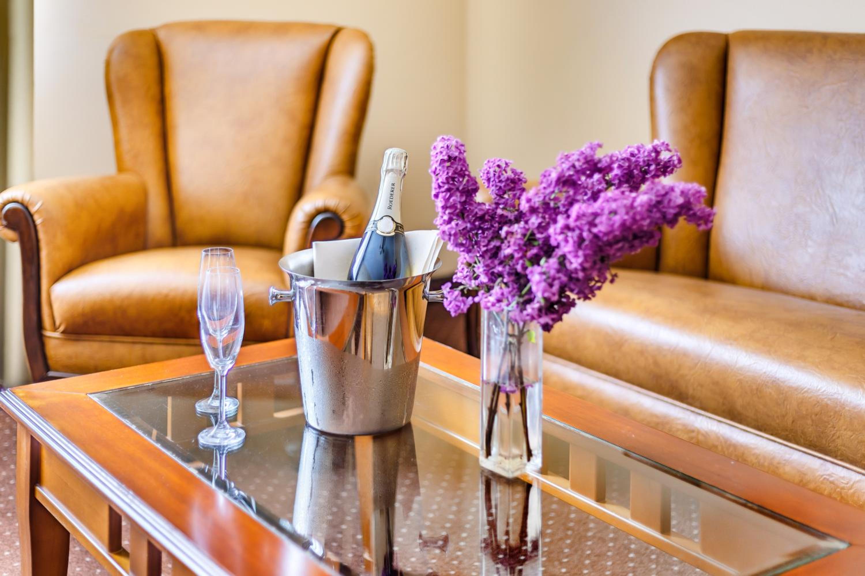 Suite - Photo 1