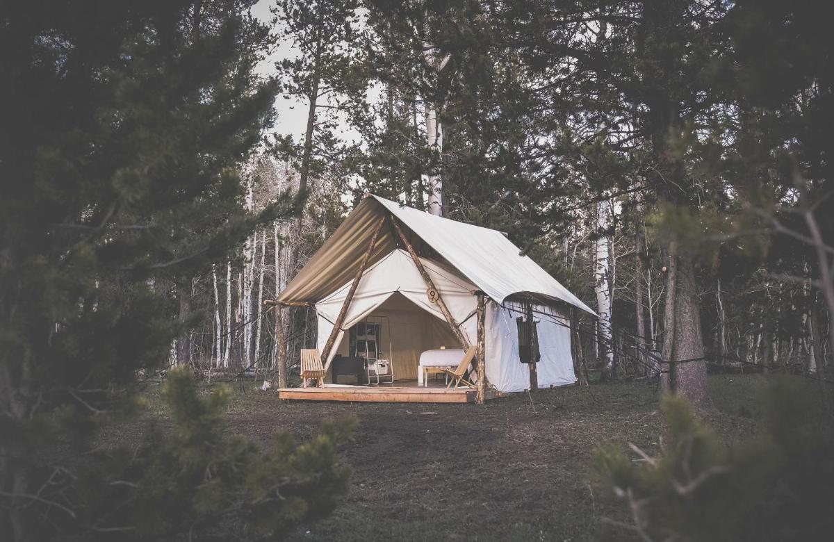 Tent photo 1