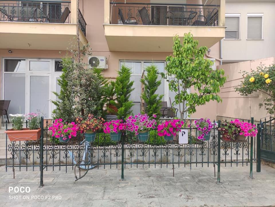 King Studio photo 3