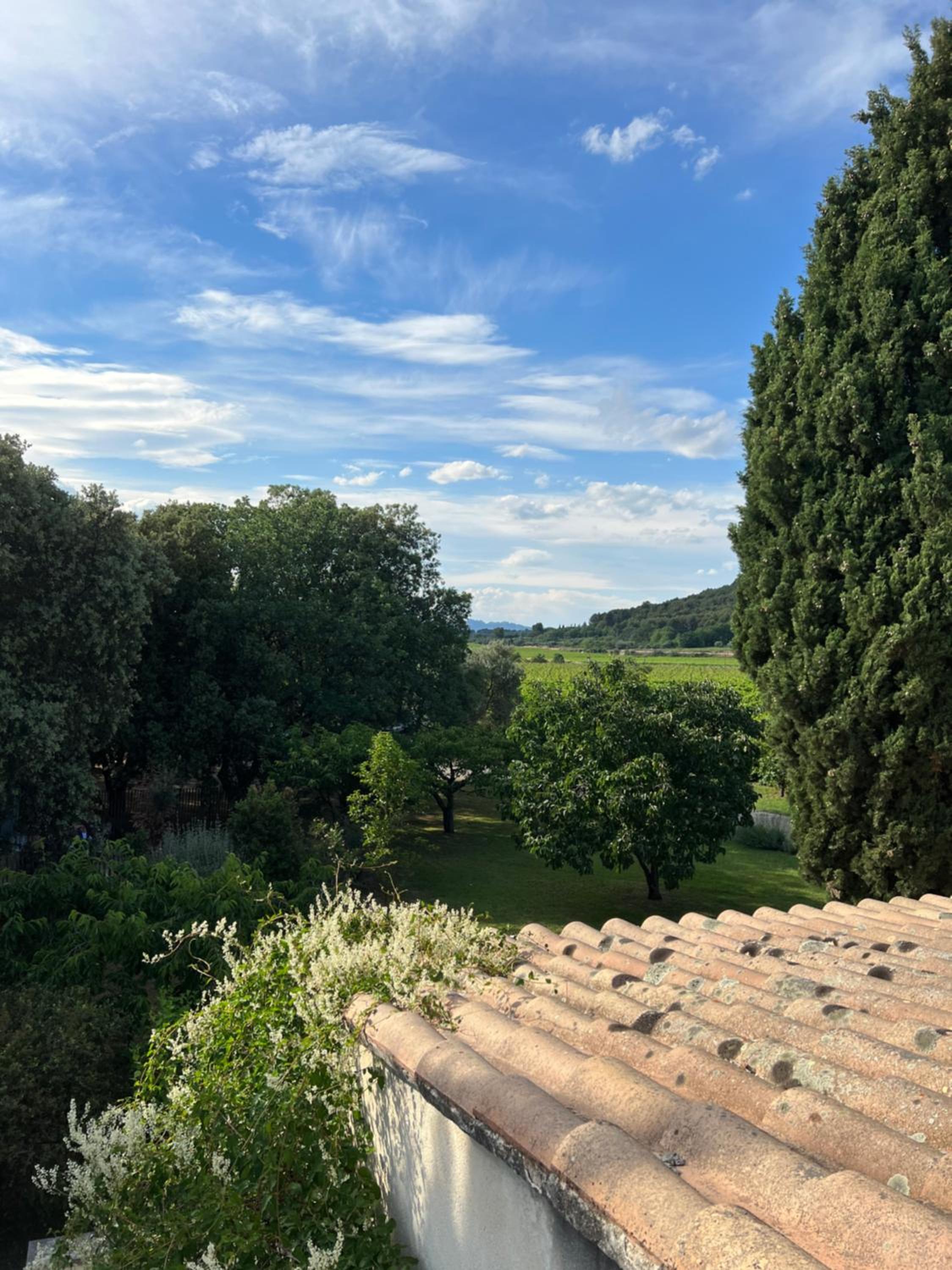 Double Room with Garden View - Photo 39