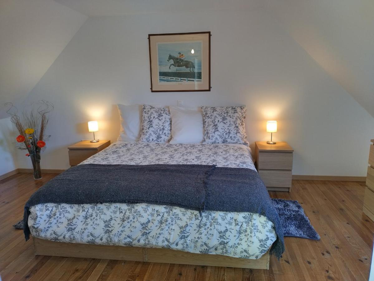 Superior King Room photo 1