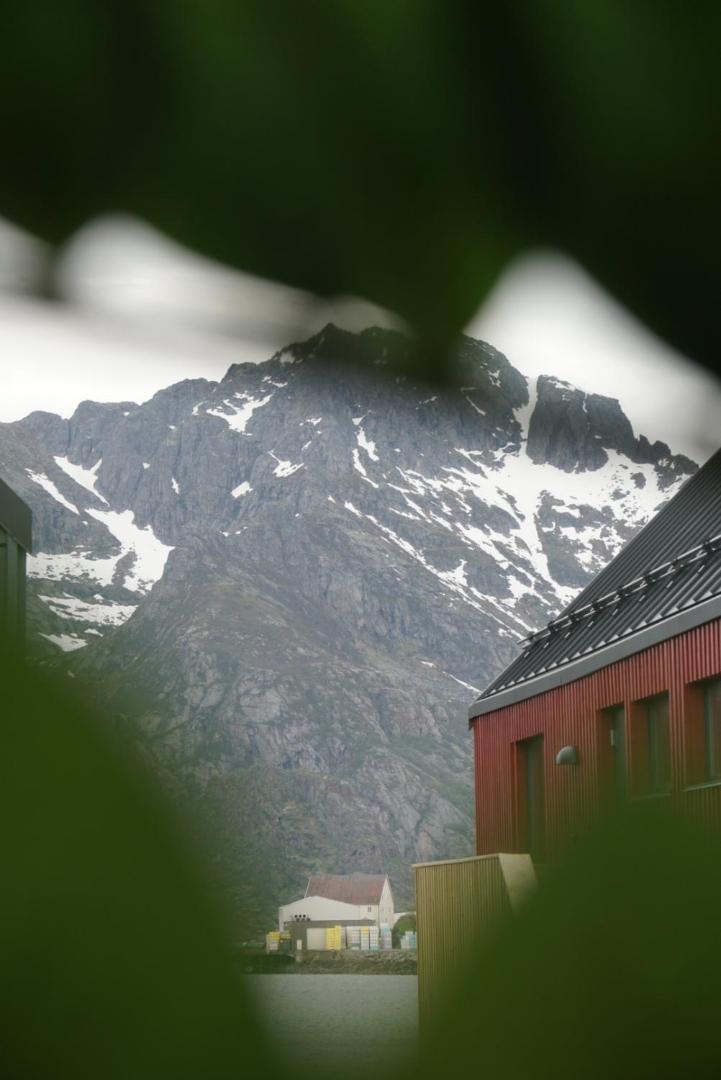 Studio Apartment in Henningsvær  photo 3