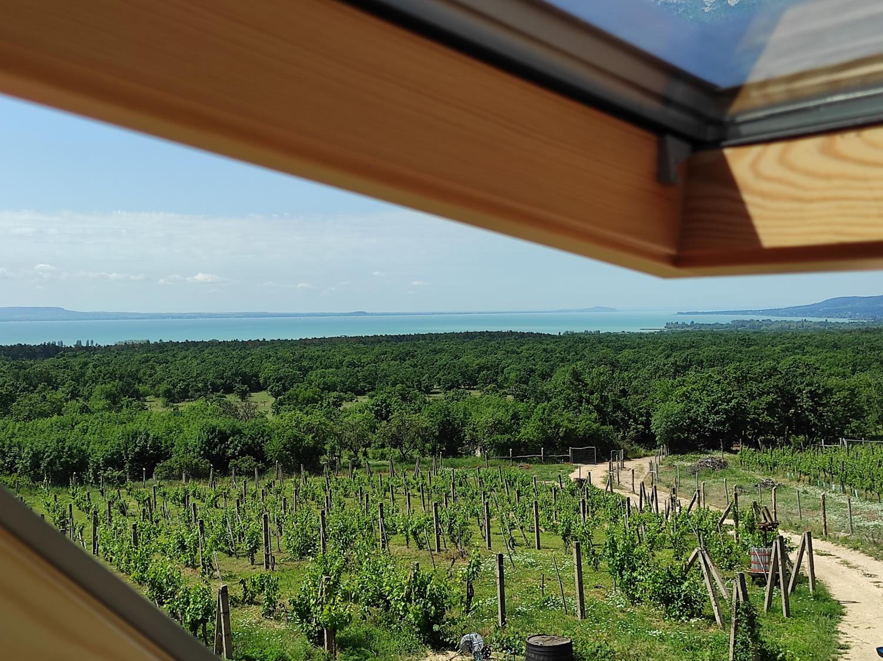 Double Room with Lake View photo 2