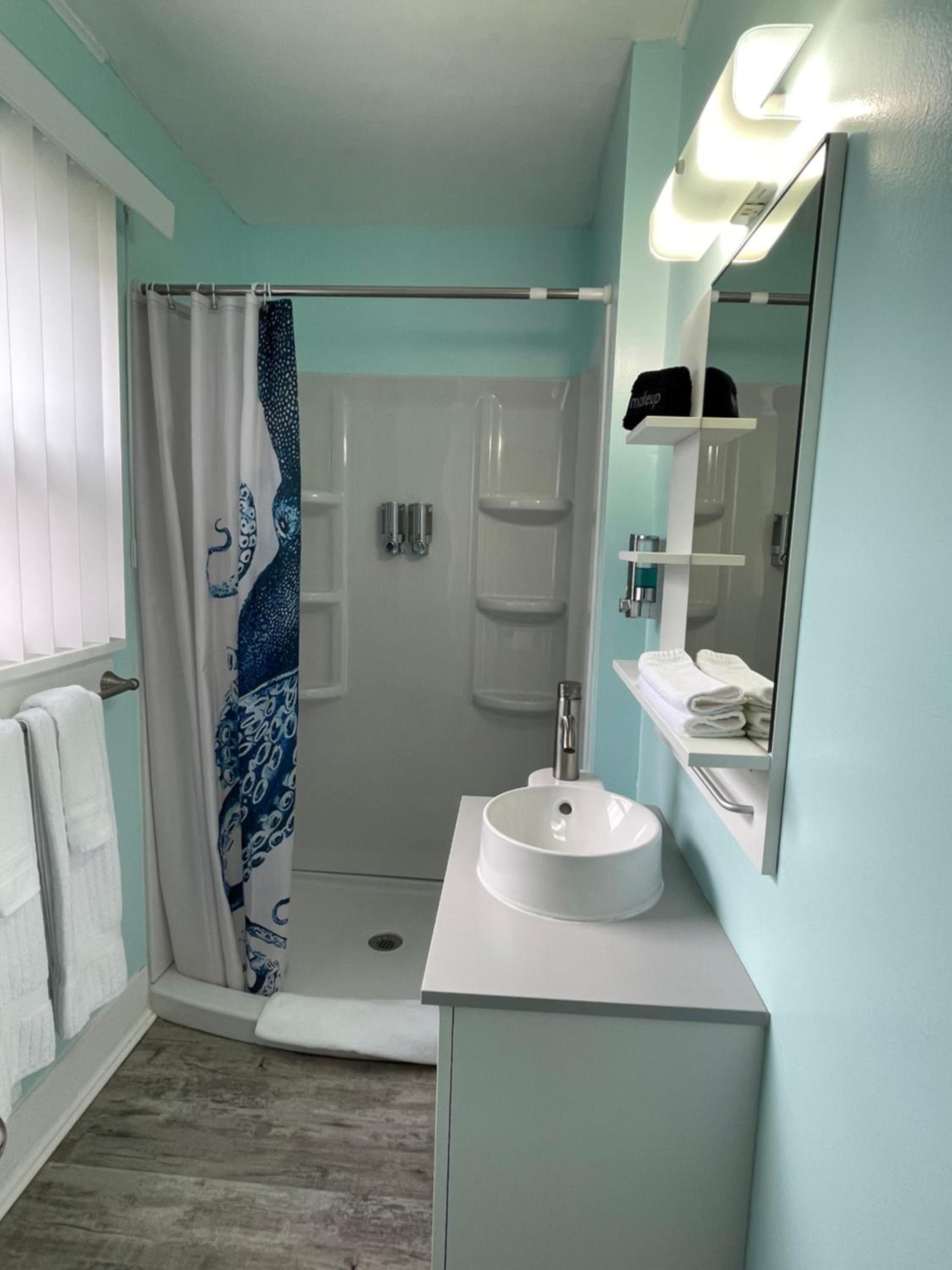 King Suite (No Pets) photo 3