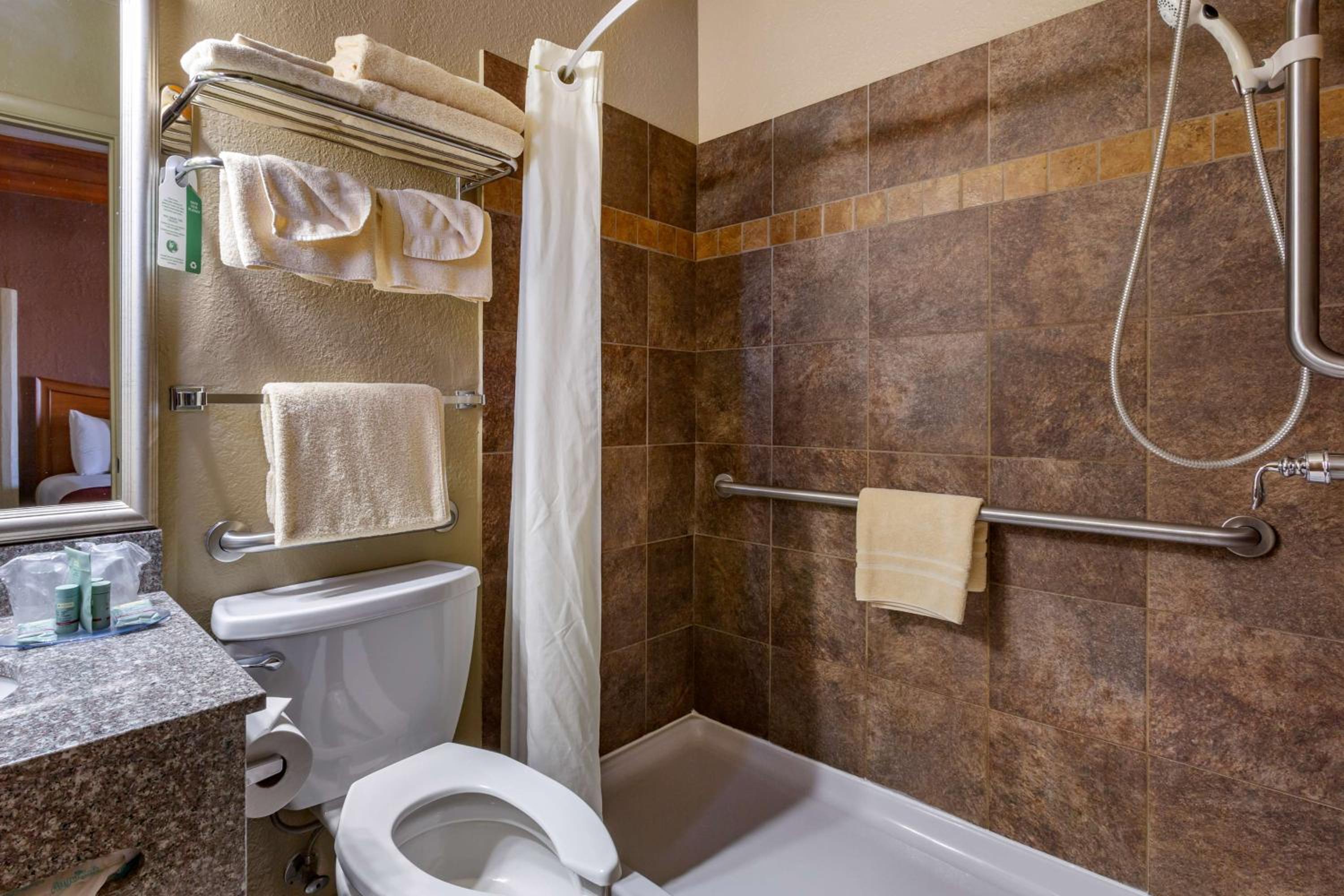 Queen Room with Two Queen Beds - Disability Access Roll in Shower - Photo 5