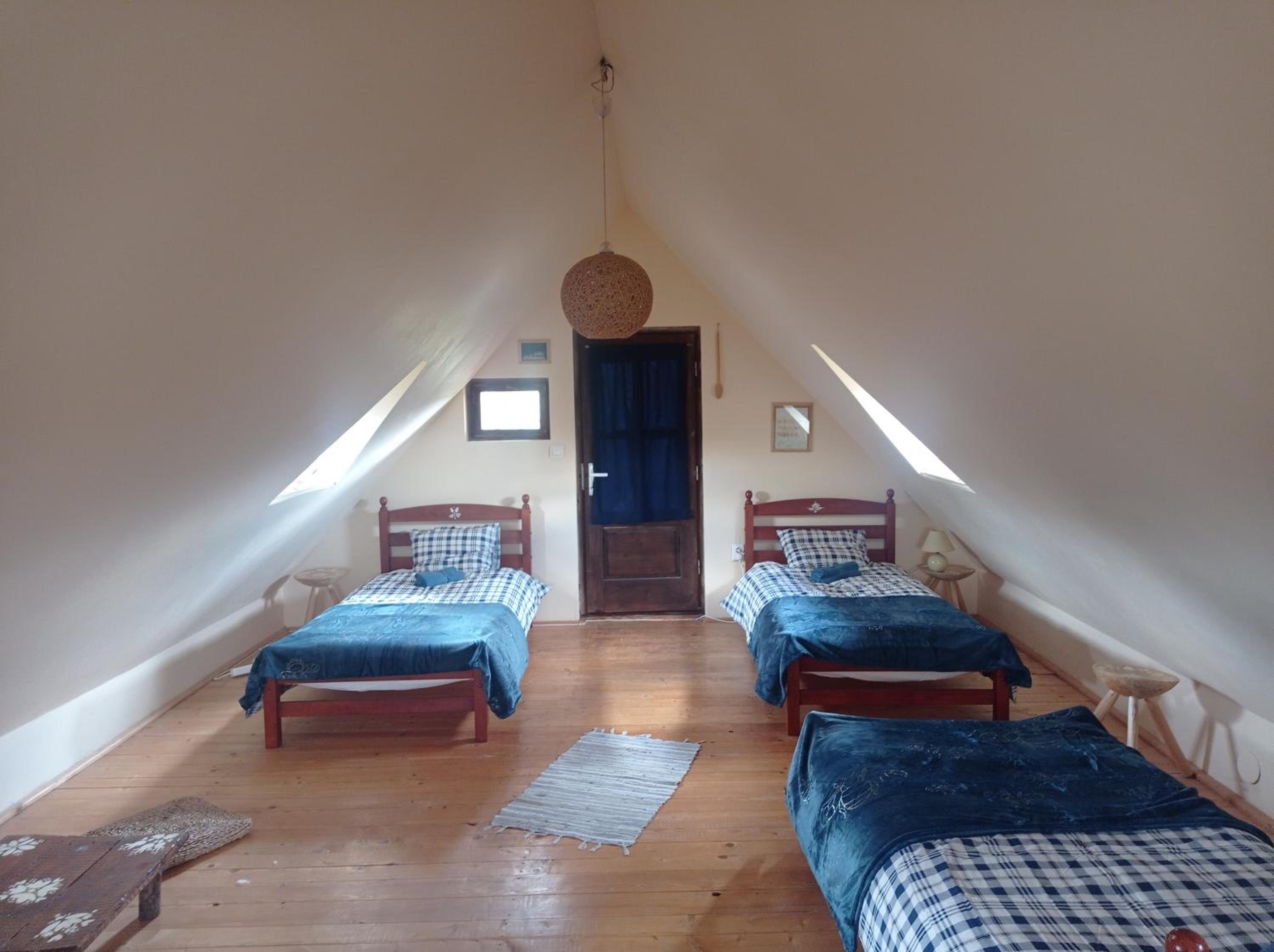 Single Bed in Mixed Dormitory Room photo 3