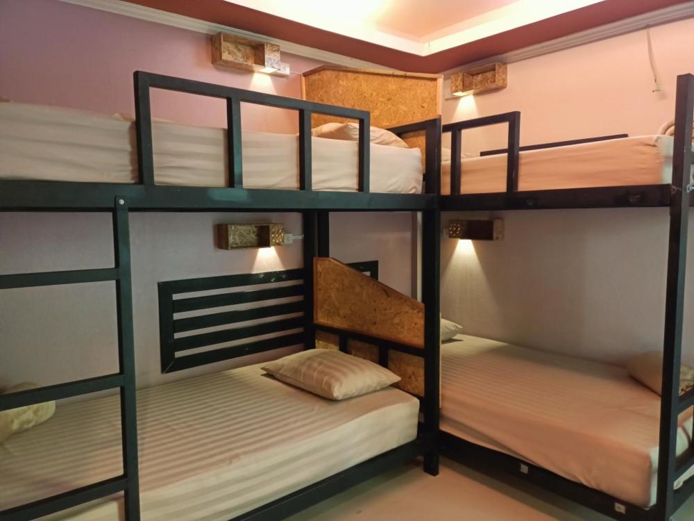 Bunk Bed in Female Dormitory Room   photo 1