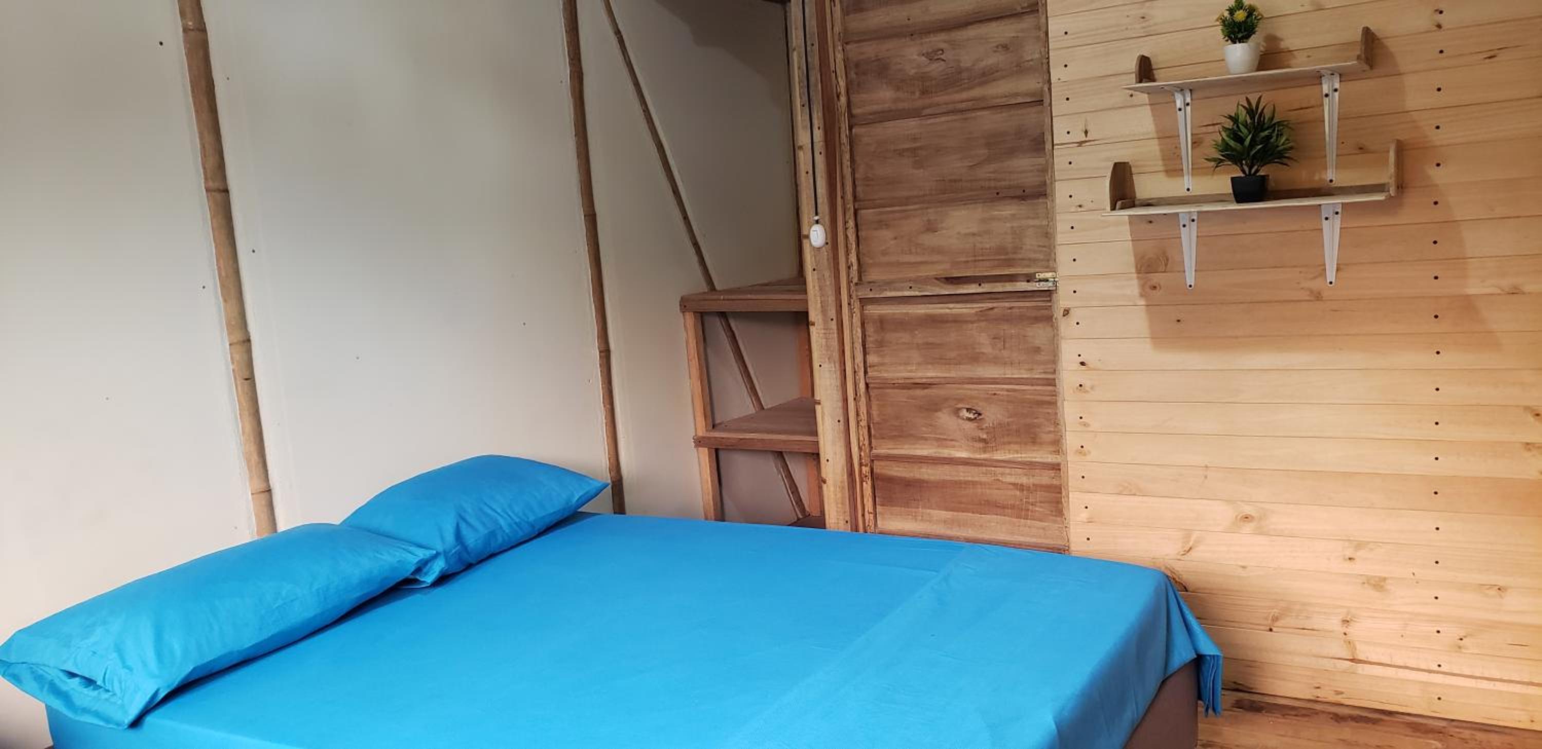 One-Bedroom House photo 3