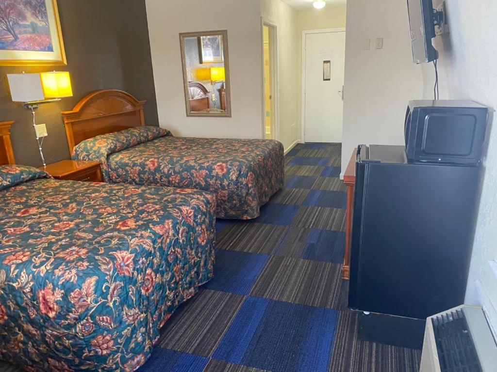 Deluxe Double or Twin Room - Photo 2