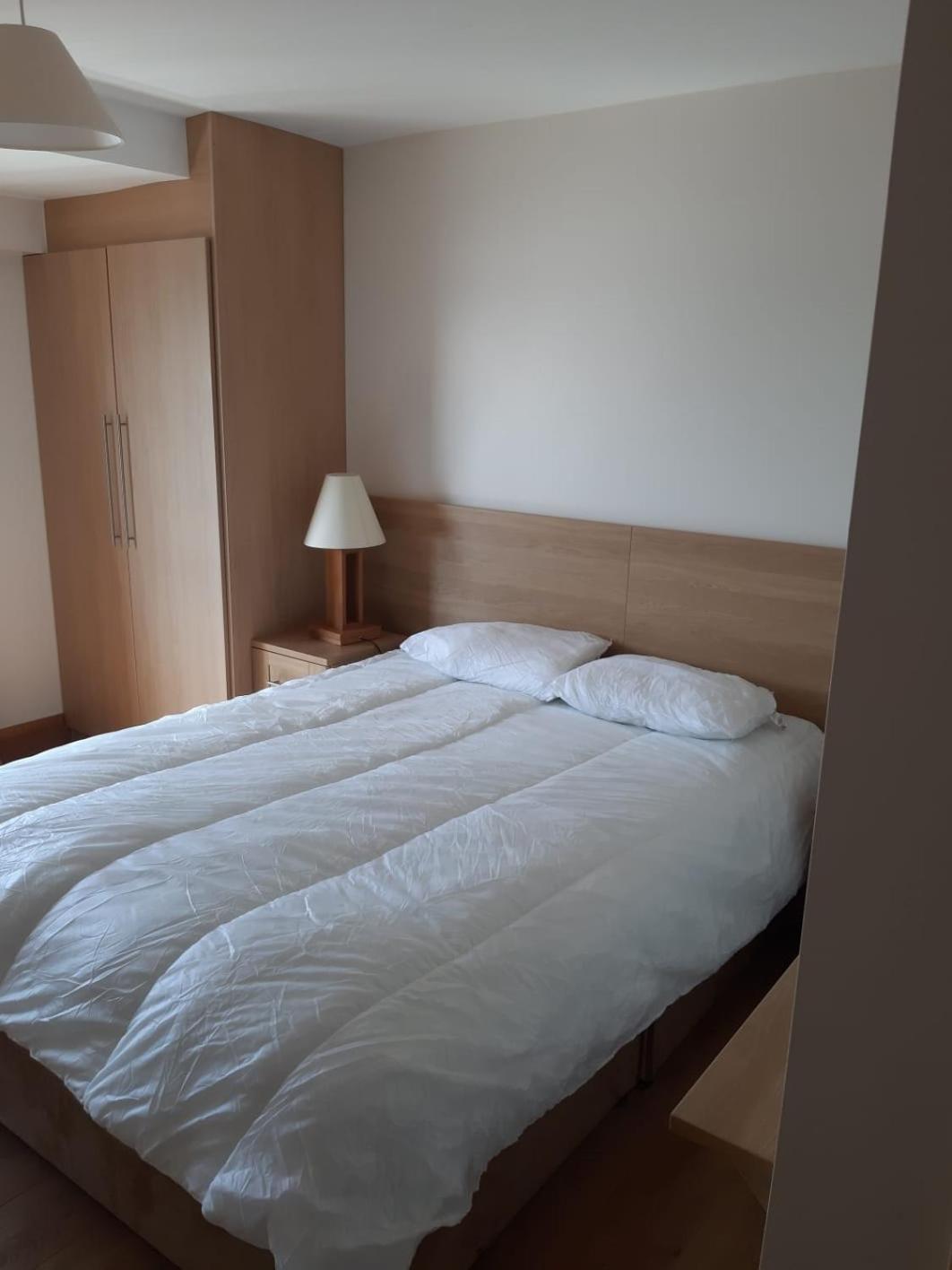Four-Bedroom Apartment with Lake View