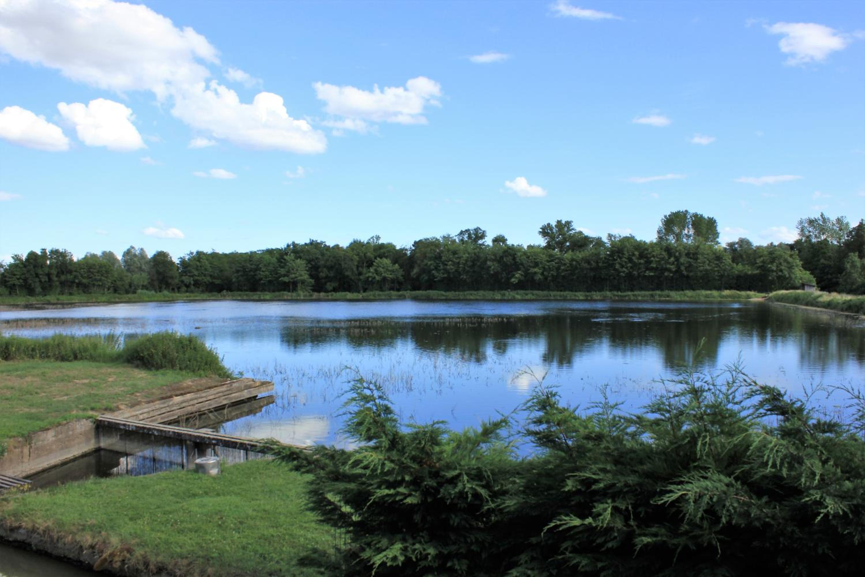 Studio with Lake View - Photo 2